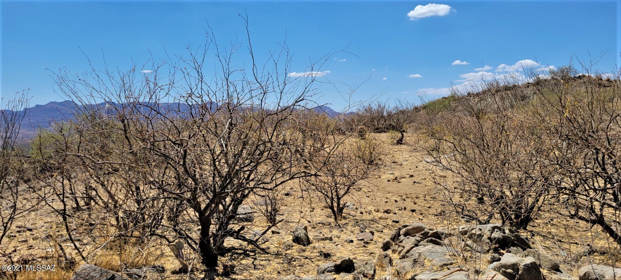 Rio Rico Ranchettes - Land
