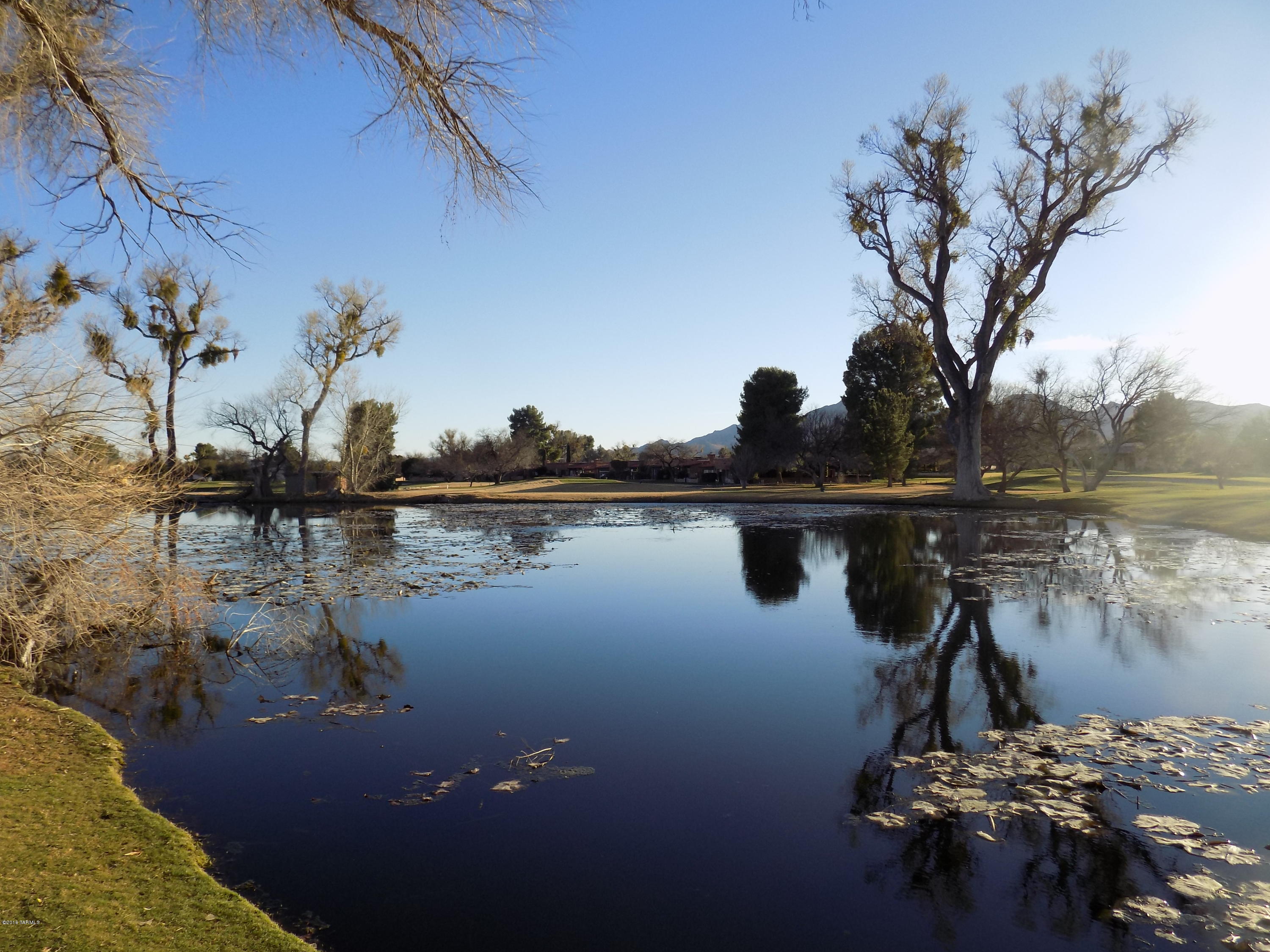 Tubac Golf Resort Development - Land