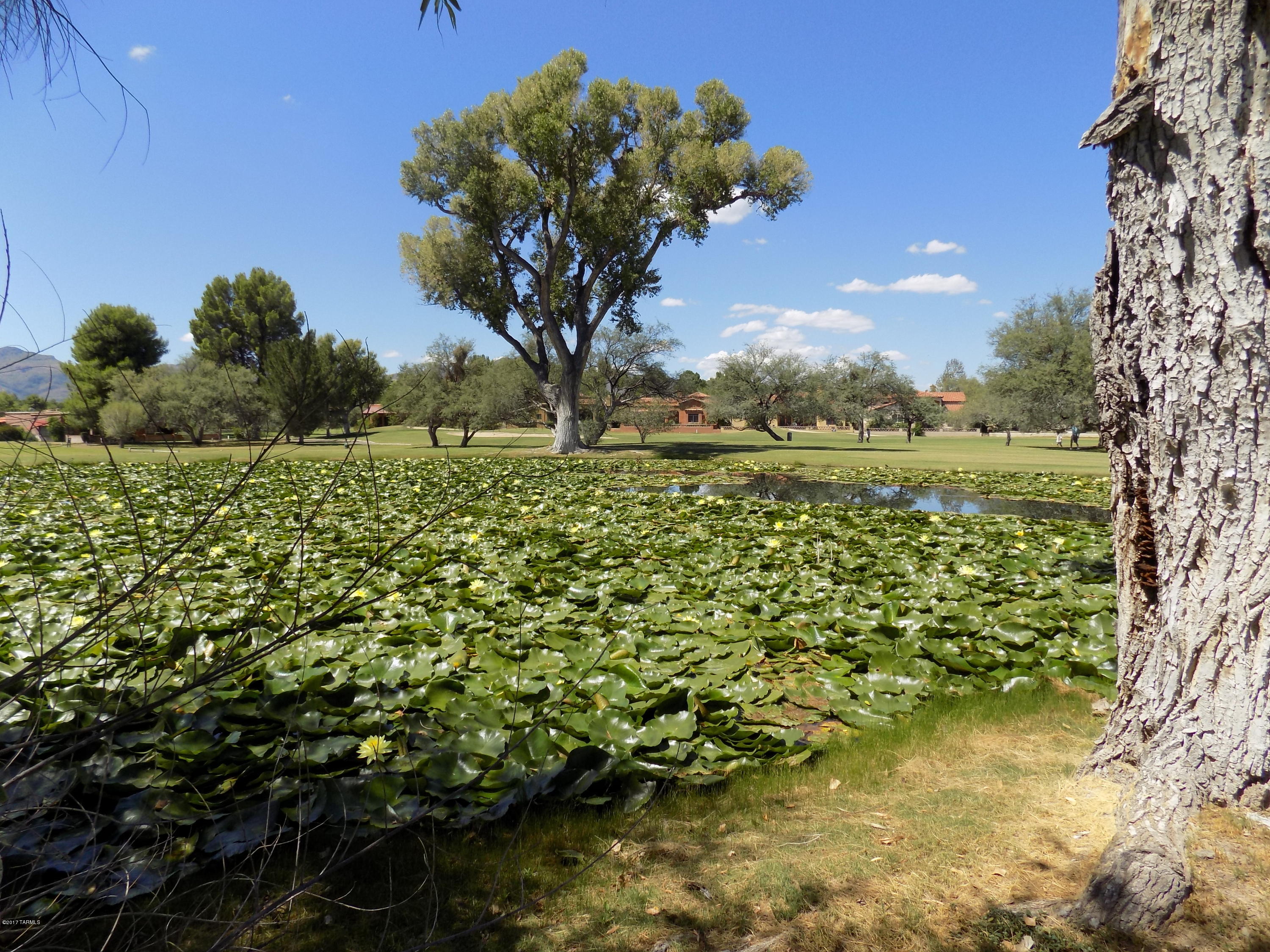 Beautiful lot on the 8th Green at the Tubac Golf Resort. Large Cottonwood trees, pond, and great views of the Tumacacori and Santa Rita Mountains make this lot one of the most unique lots remaining in the Tubac Golf Resort.