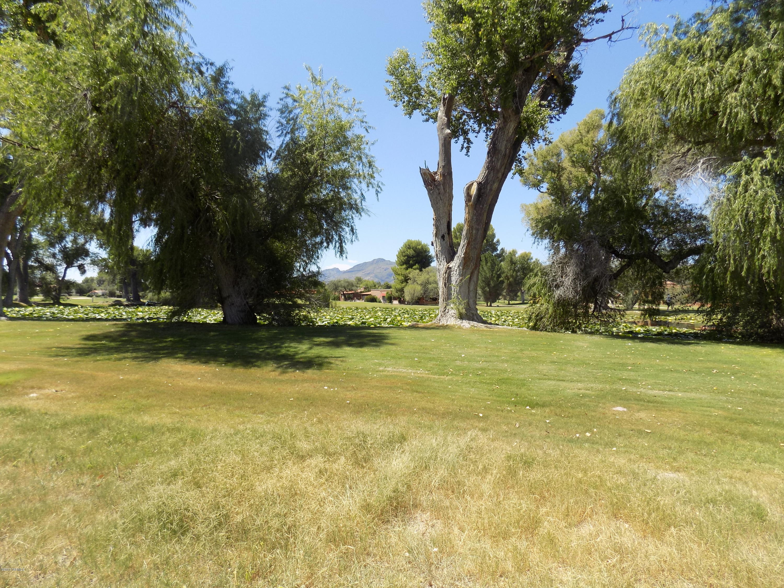 Tubac Golf Resort Development - Land