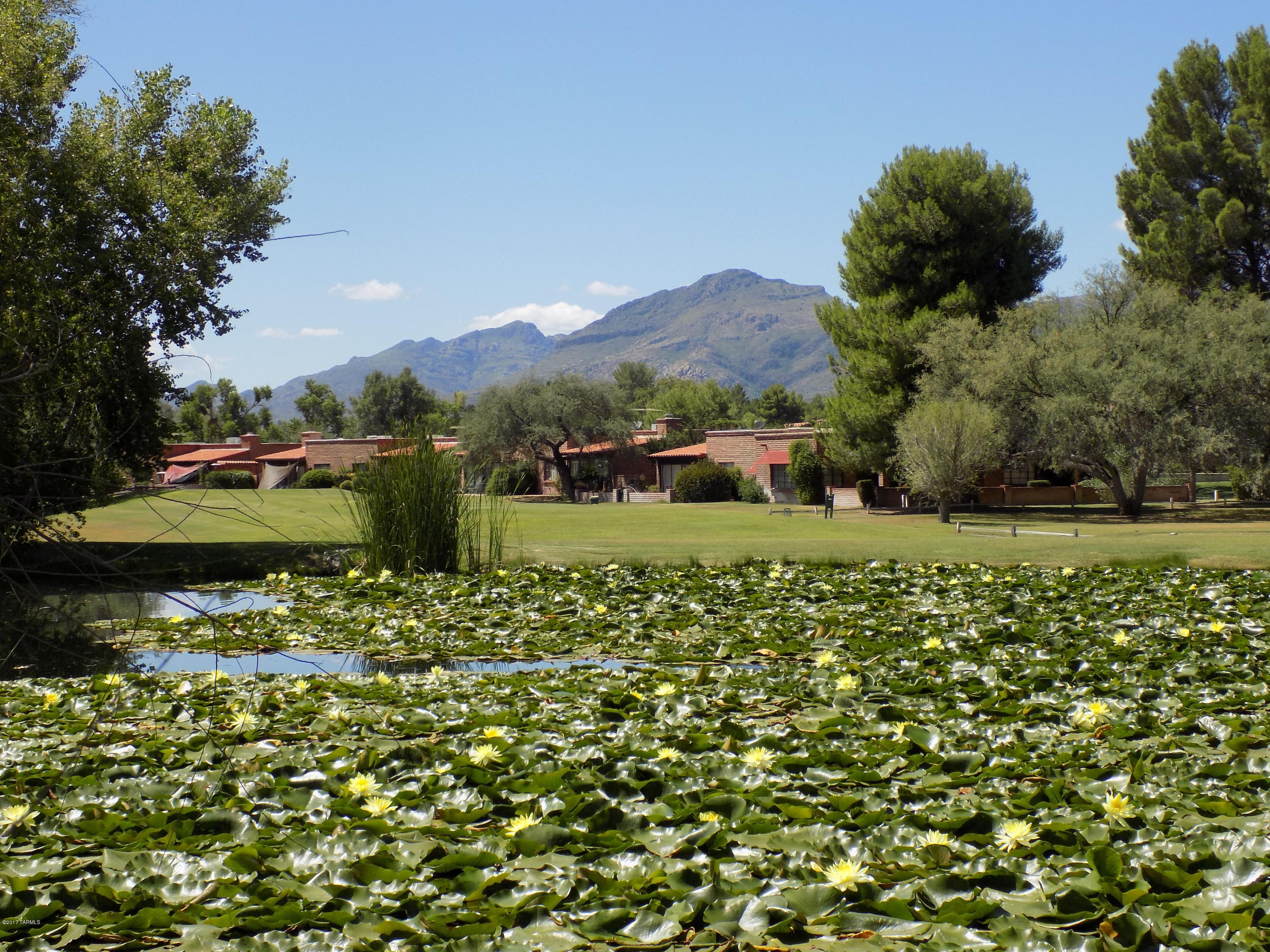 Tubac Golf Resort Development - Land