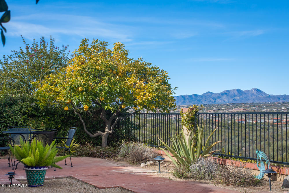 El Conquistador Resort Patio Homes (155-193) - Residential