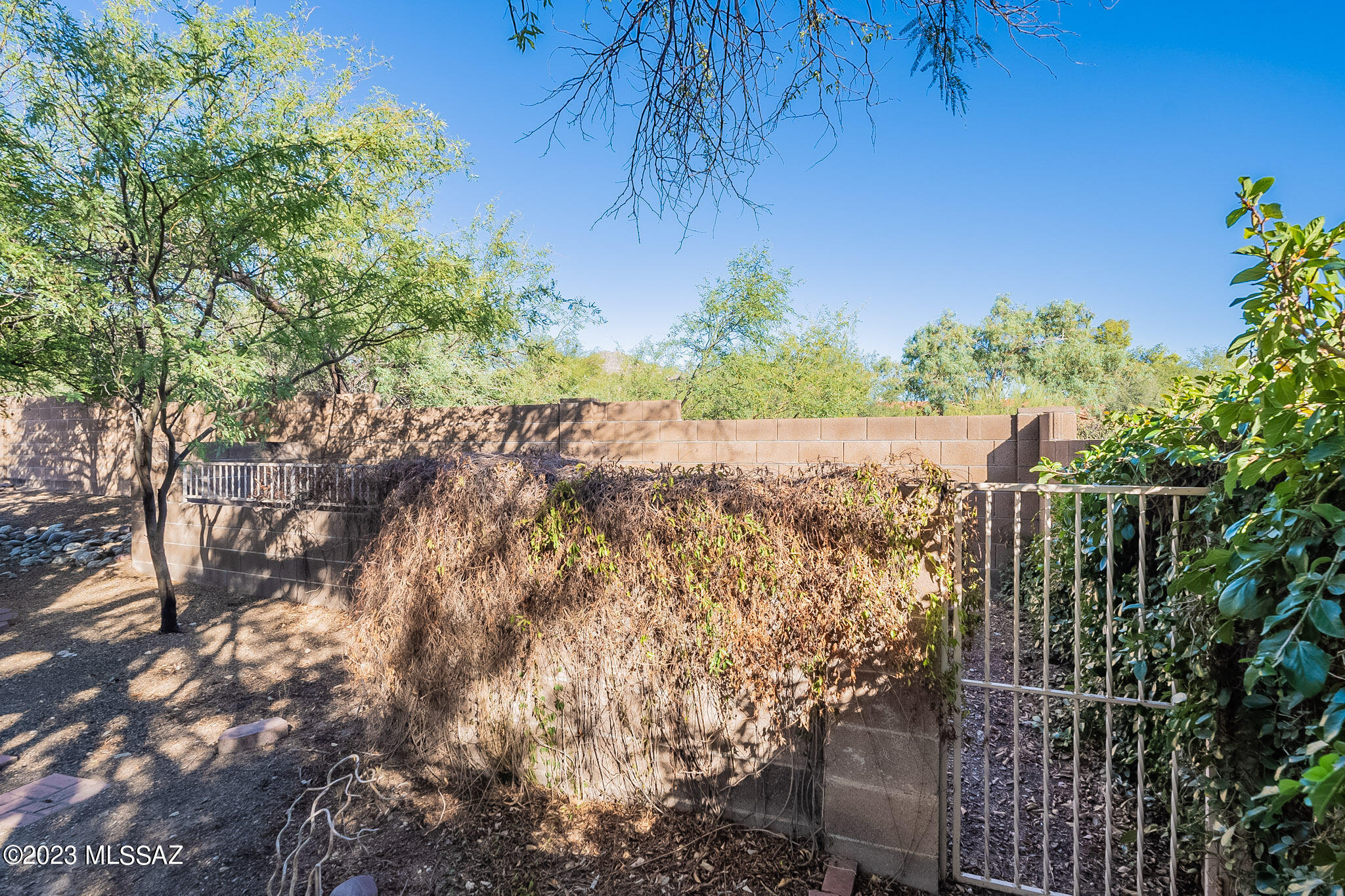 Ventana Shadows (1-80) - Residential