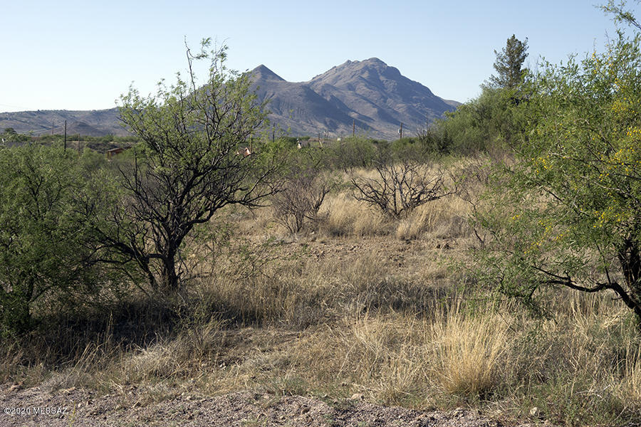 Build your custom home on this desirable lot in South East Rio Rico, above the Santa Cruz River valley.   Less than 4 miles from I-19, conveniently located near schools and shoppping. Panoramic mountain views in a quiet neighborhood on the corn of Calle Ranuculo and VIta Rita. The terrain is slightly sloped and covered with natural grasses and mesquite trees, The property provides an excellent east/west oriented building opportunity for your dream home where you can enjoy renowned Southern Arizona sunrise and sunset view from your porch.