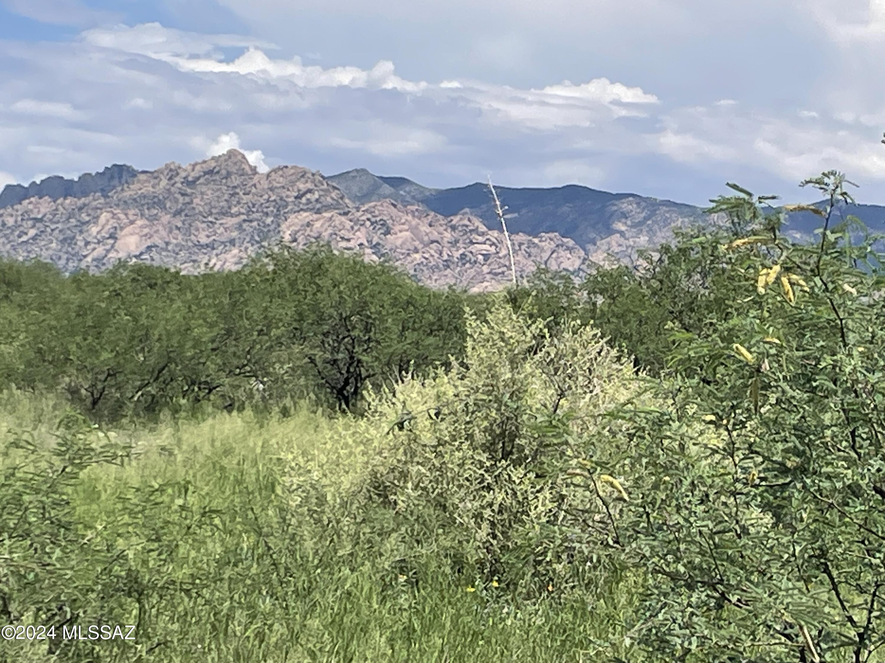 BUILD YOUR DREAM HOME IN THE COUNTRY WITH WONDERFUL VIEWS OF THE DRAGOON MOUNTAINS. This 36 acre lot has electric service just across the road. What a great opportunity so don't miss out on this one.