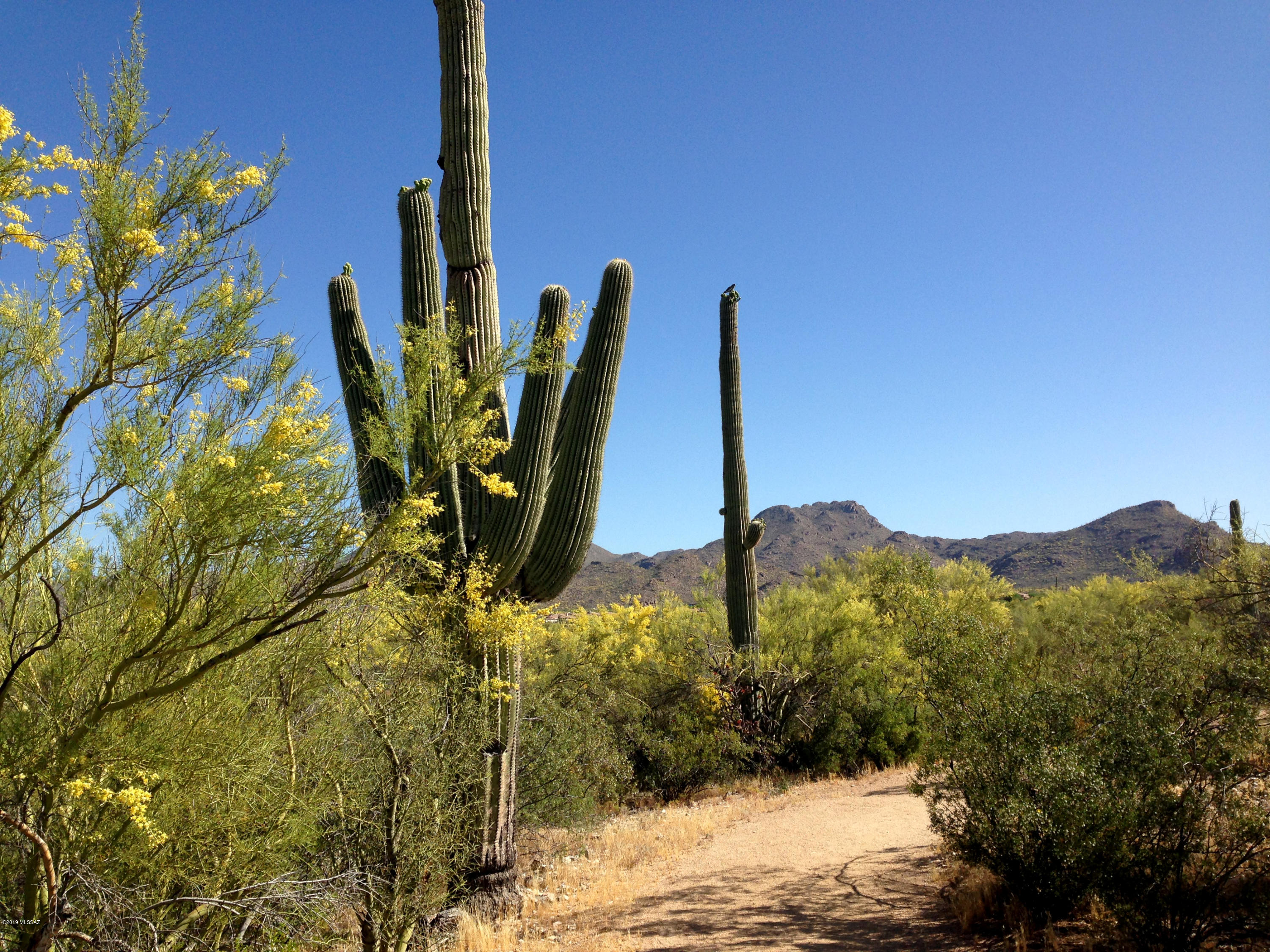 Preserve III at Dove Mtn (306-486,530-534,577-605) - Residential