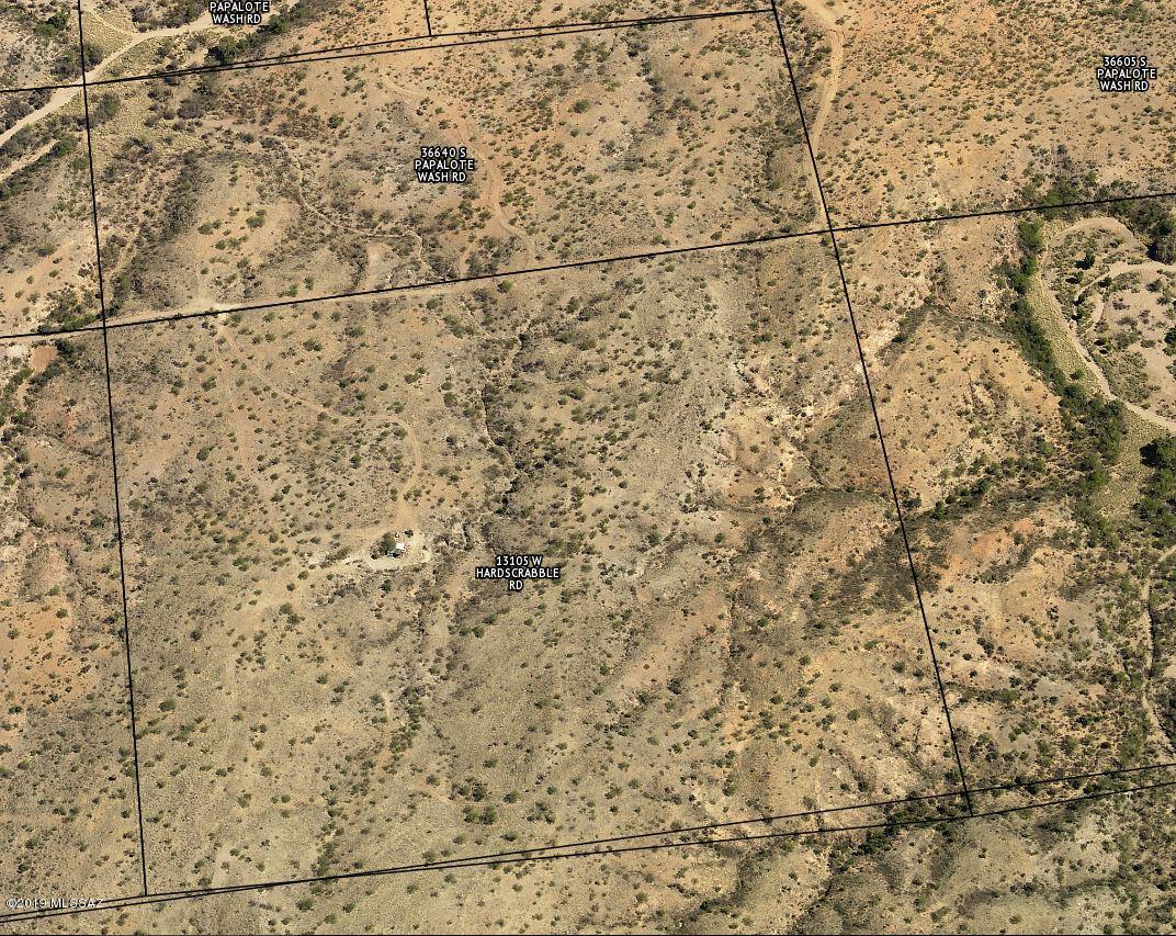 FENCED  AND TREED 40 ACRES WITH SHED ON PROPERTY. LOTS OF NATURAL VEGETATION