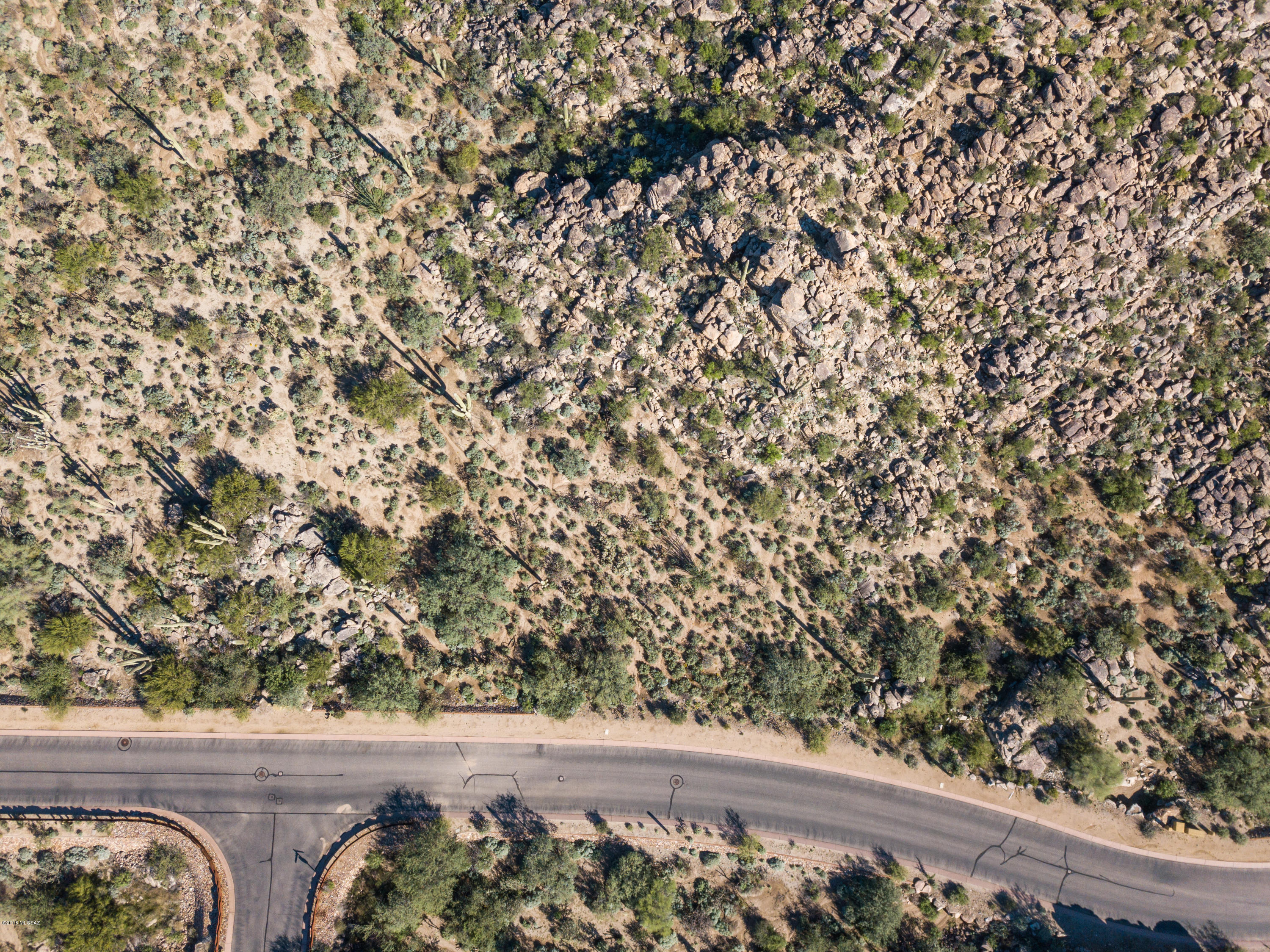 Canyon Pass At Dove Mountain - Land