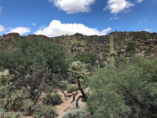 Canyon Pass At Dove Mountain - Land