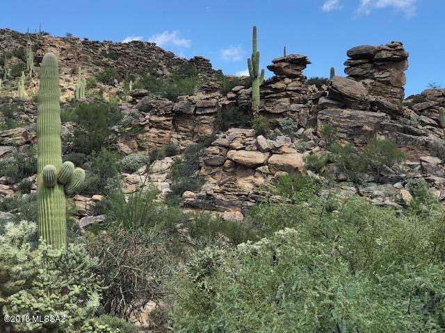 Canyon Pass At Dove Mountain - Land