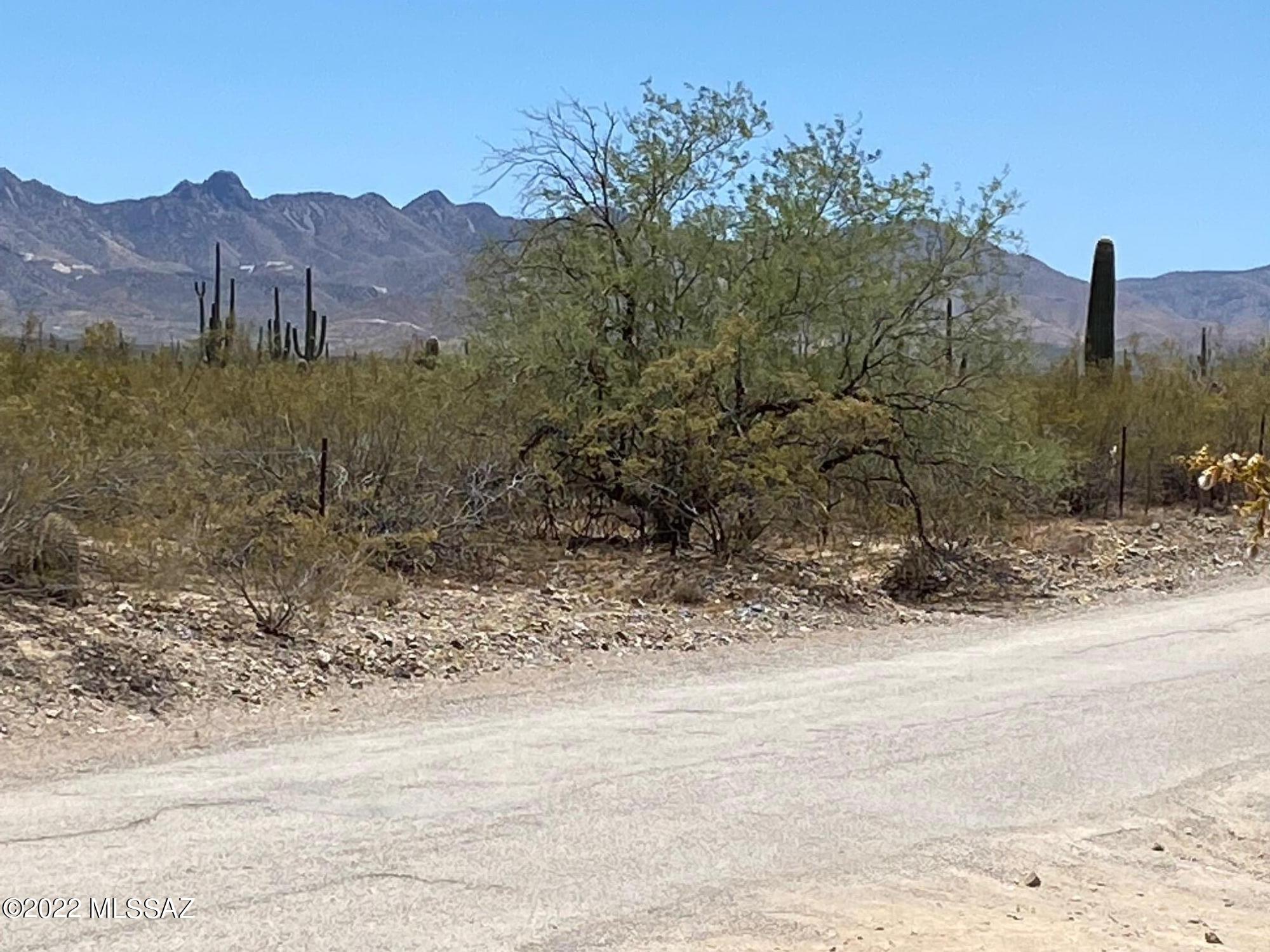 Beautiful Lot with Panoramic Views. A wash runs through this parcel but has room to build a custom or manufactured home. There is a lot of natural vegetation, trees and sahuaros.  TRICO transformer located on easement between this property and property to the west. Easy trip to I-10 down Wilmot or Green Valley and Sahuarita to the west. Enjoy the rural life so close to Tucson nightlife, medical, transportation and dining. This property can be subdivided and needs a well and septic.