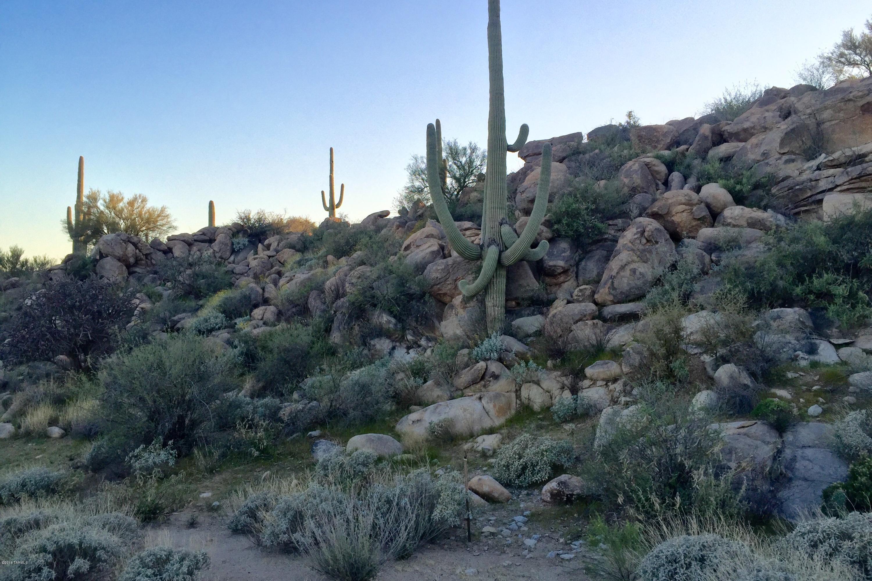 Stone Canyon IV - Land