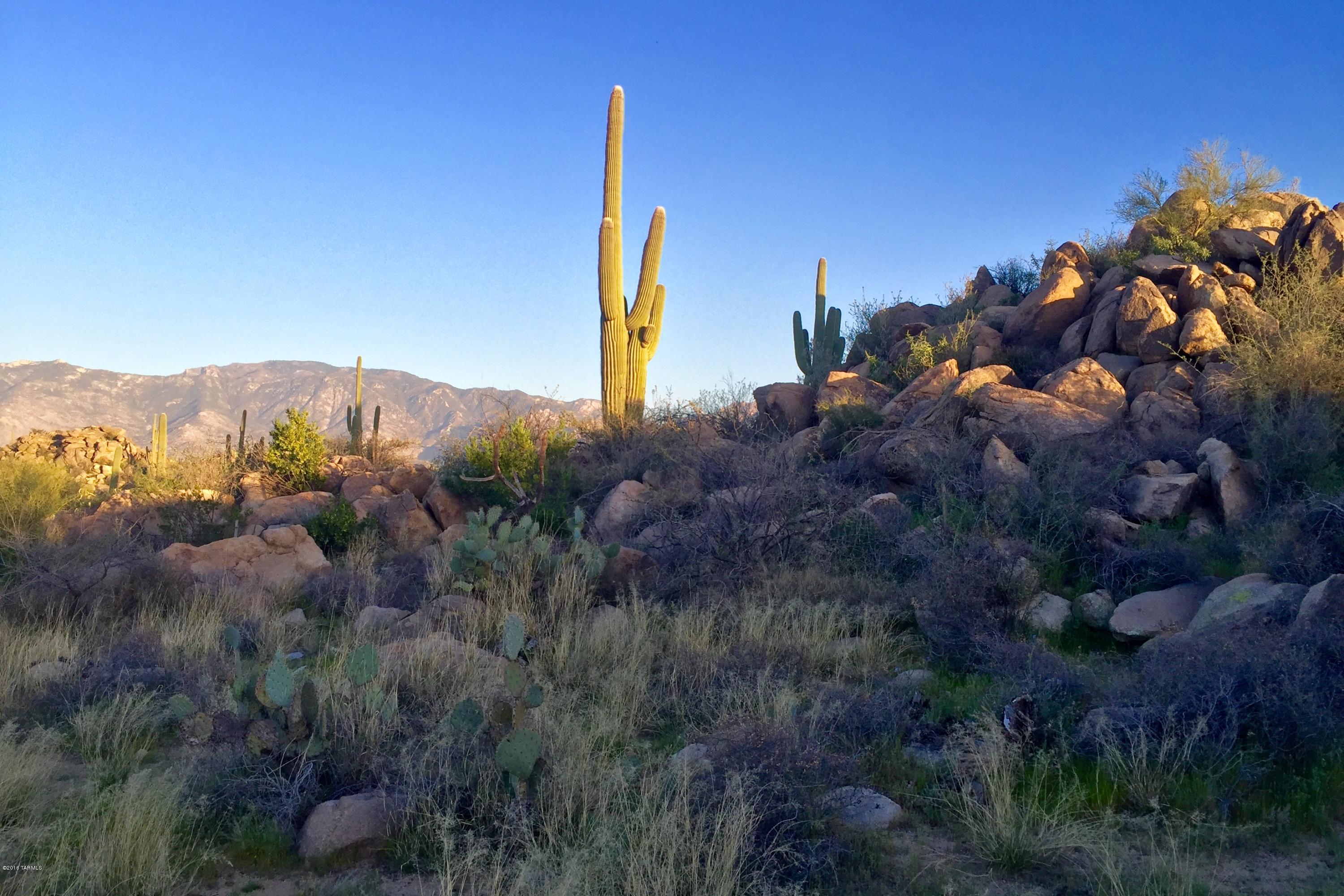 Stone Canyon IV - Land