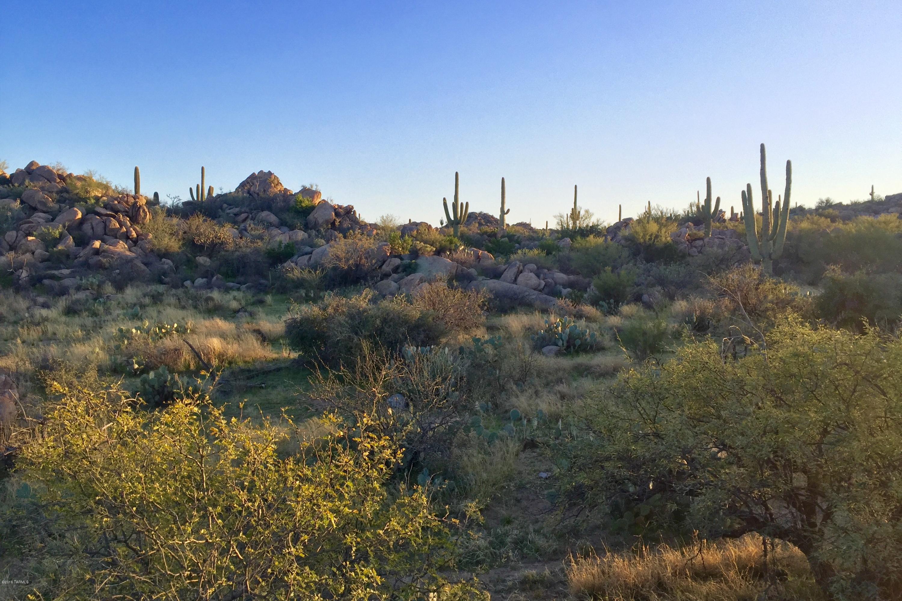 Stone Canyon IV - Land