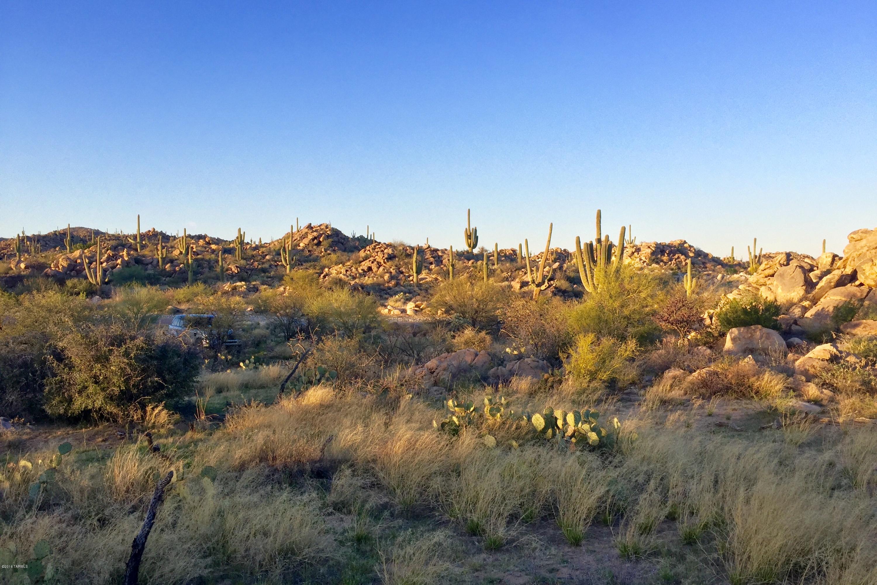 Stone Canyon IV - Land