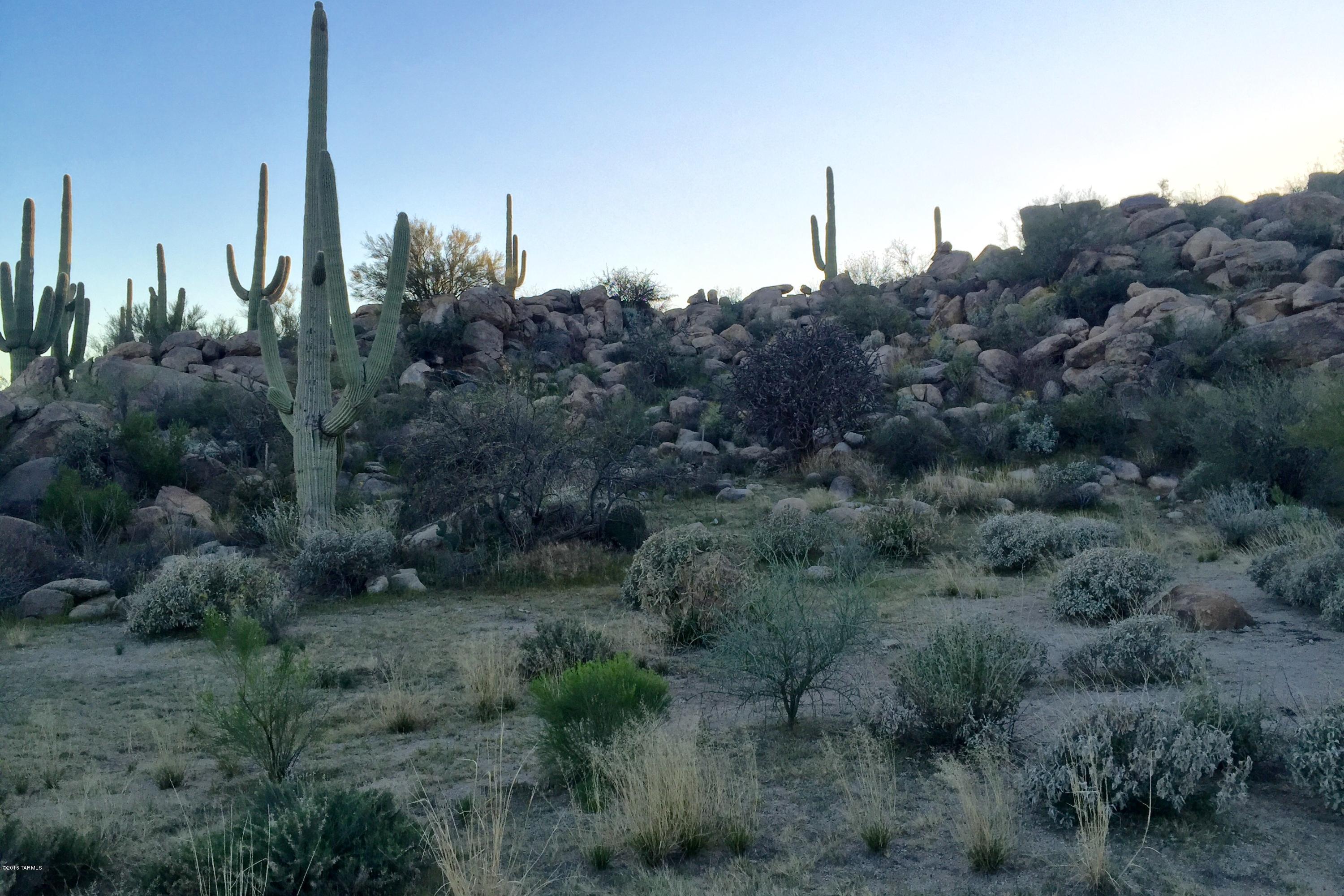 Stone Canyon IV - Land