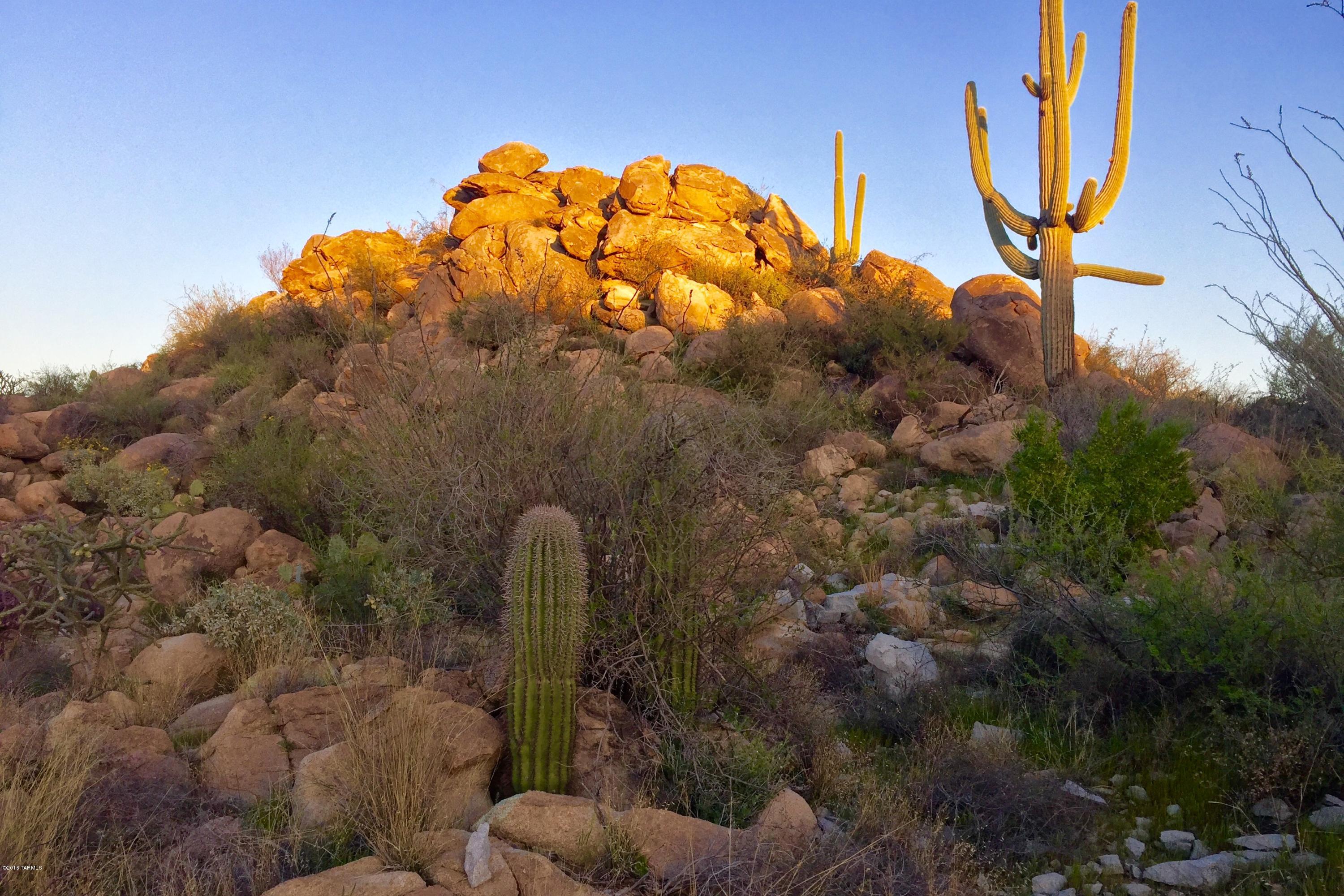Stone Canyon IV - Land