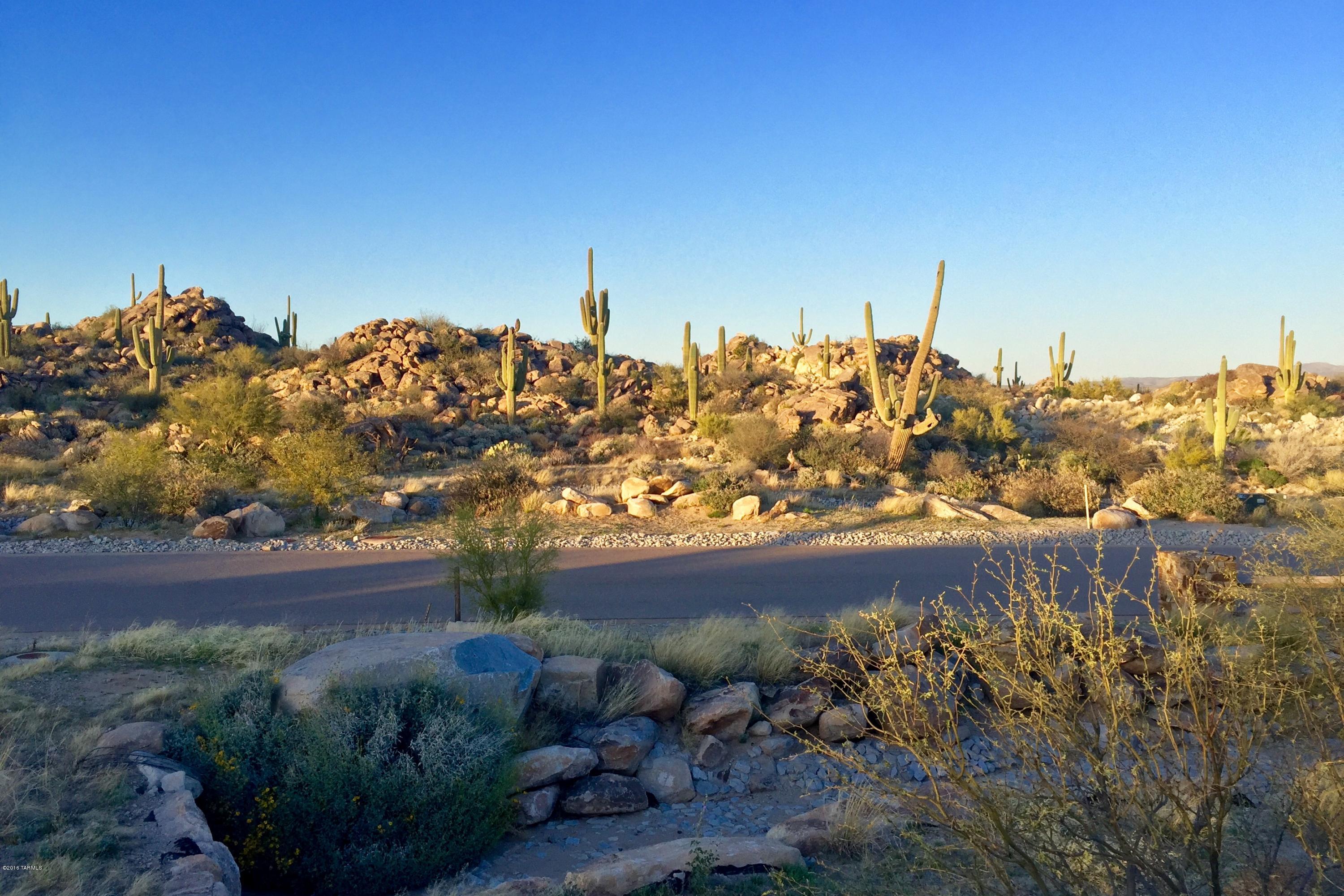 Stone Canyon IV - Land