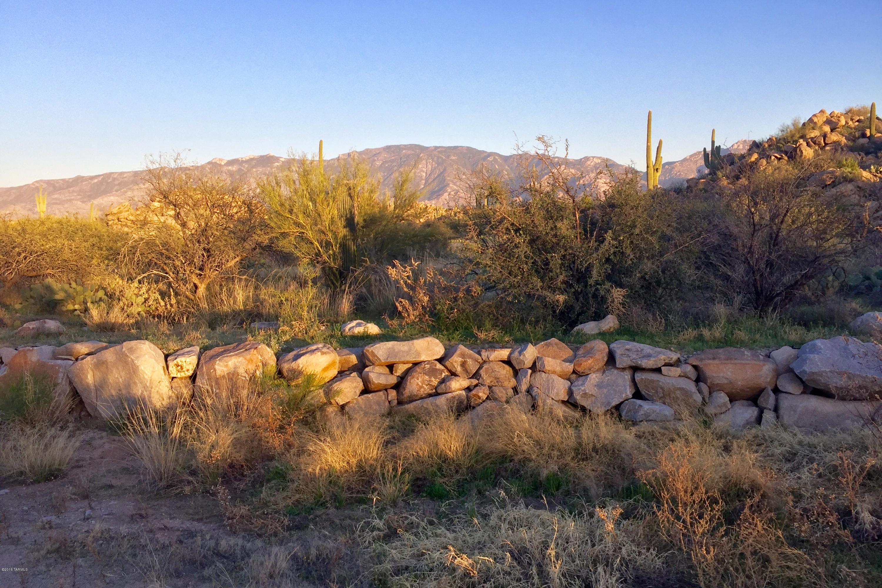 Stone Canyon IV - Land