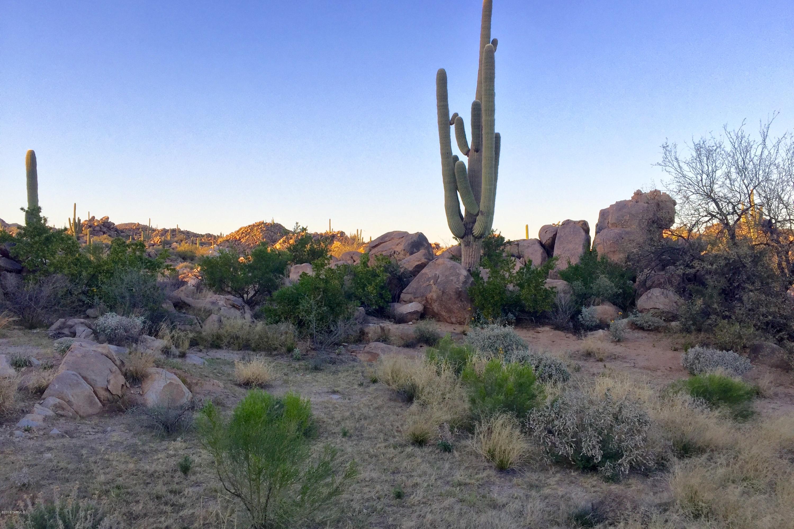 Stone Canyon IV - Land