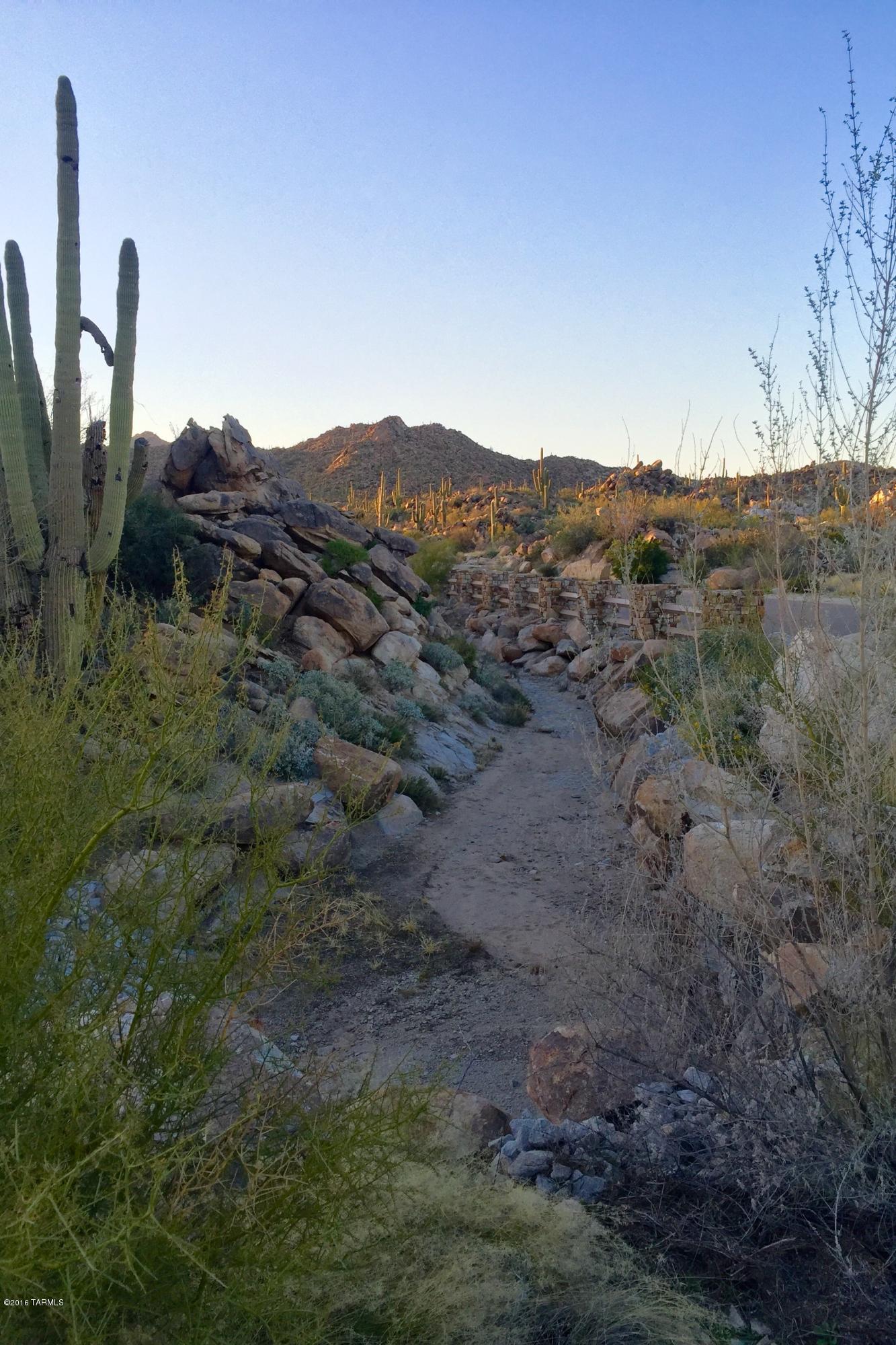 Stone Canyon IV - Land