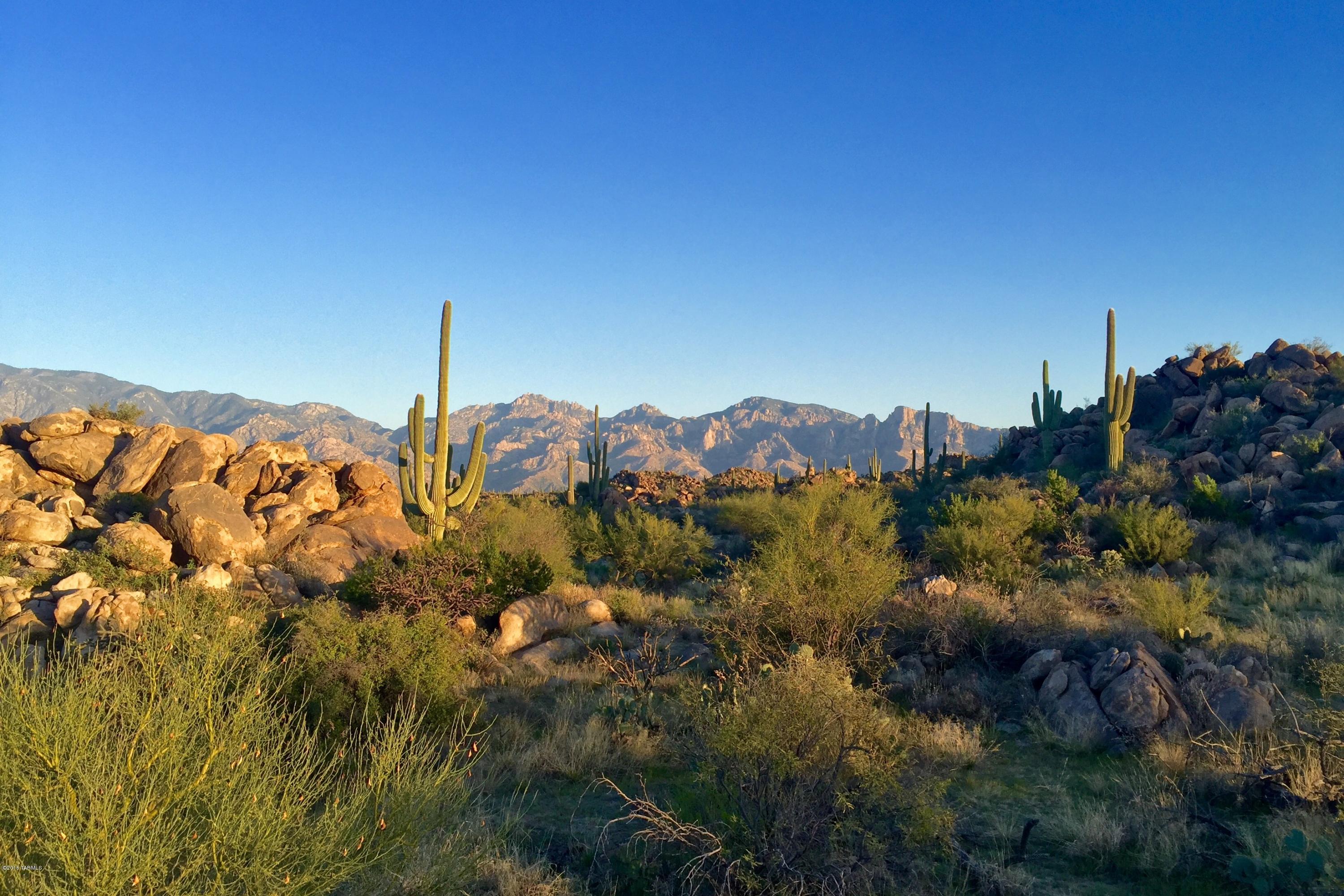Without a doubt one of the most beautiful parcels in Stone Canyon. This 2.87 acre parcel has dramatic Catalina mountain views along with perfectly placed rock outcropping's giving you not only beauty in the rough but a surrounding of privacy. The building site sits perfectly in the middle of all the beauty with an extraordinary amount of character. Many sites in Stone Canyon with this type of terrain also come with extreme building conditions. This site's building envelope, on the other hand, is flat & easy. Listing Agents available 7 days a week to tour clients through development and show the lot in detail - point to point. Stone Canyon Club Membership offers first class amenities and extraordinary golf.