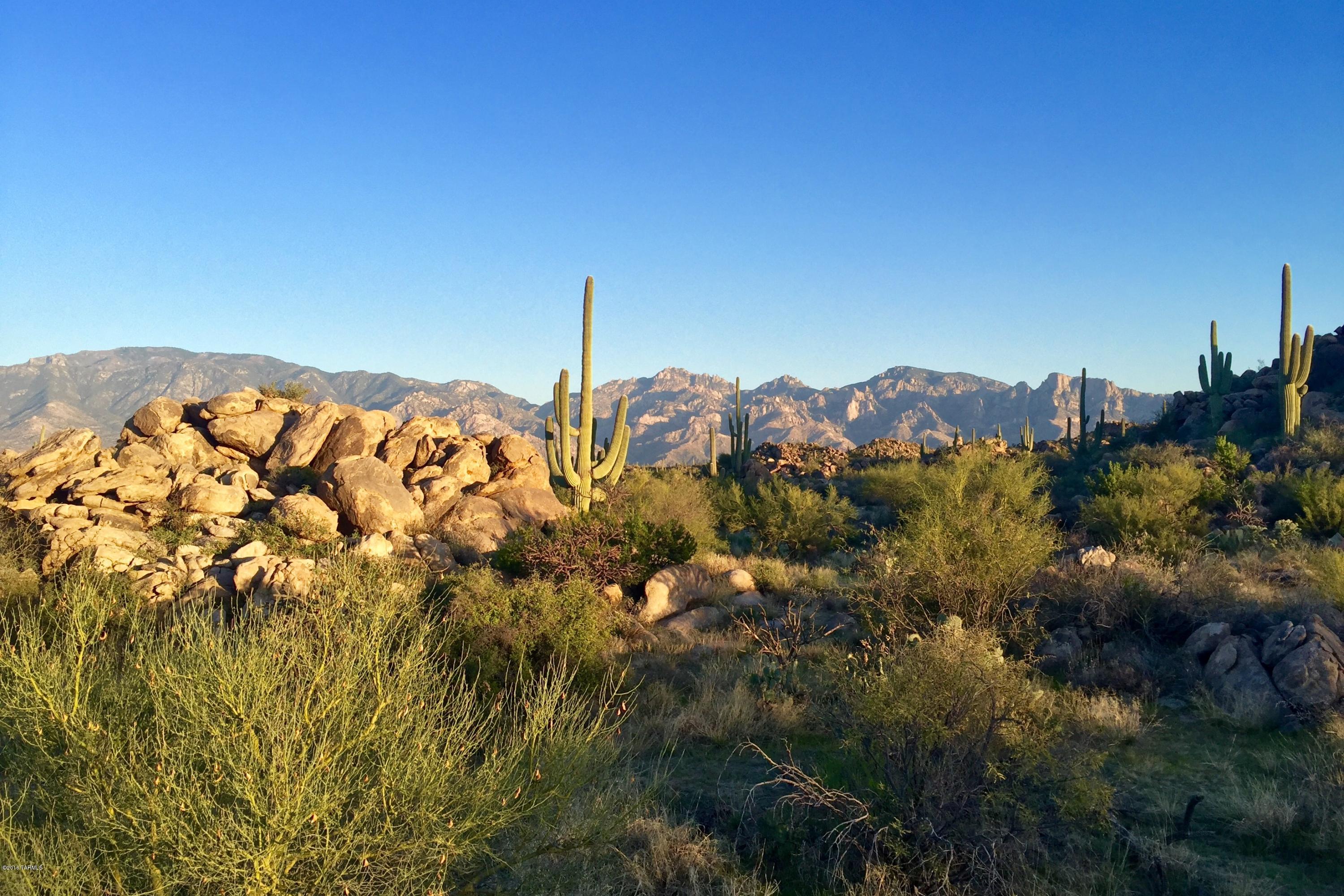 Stone Canyon IV - Land