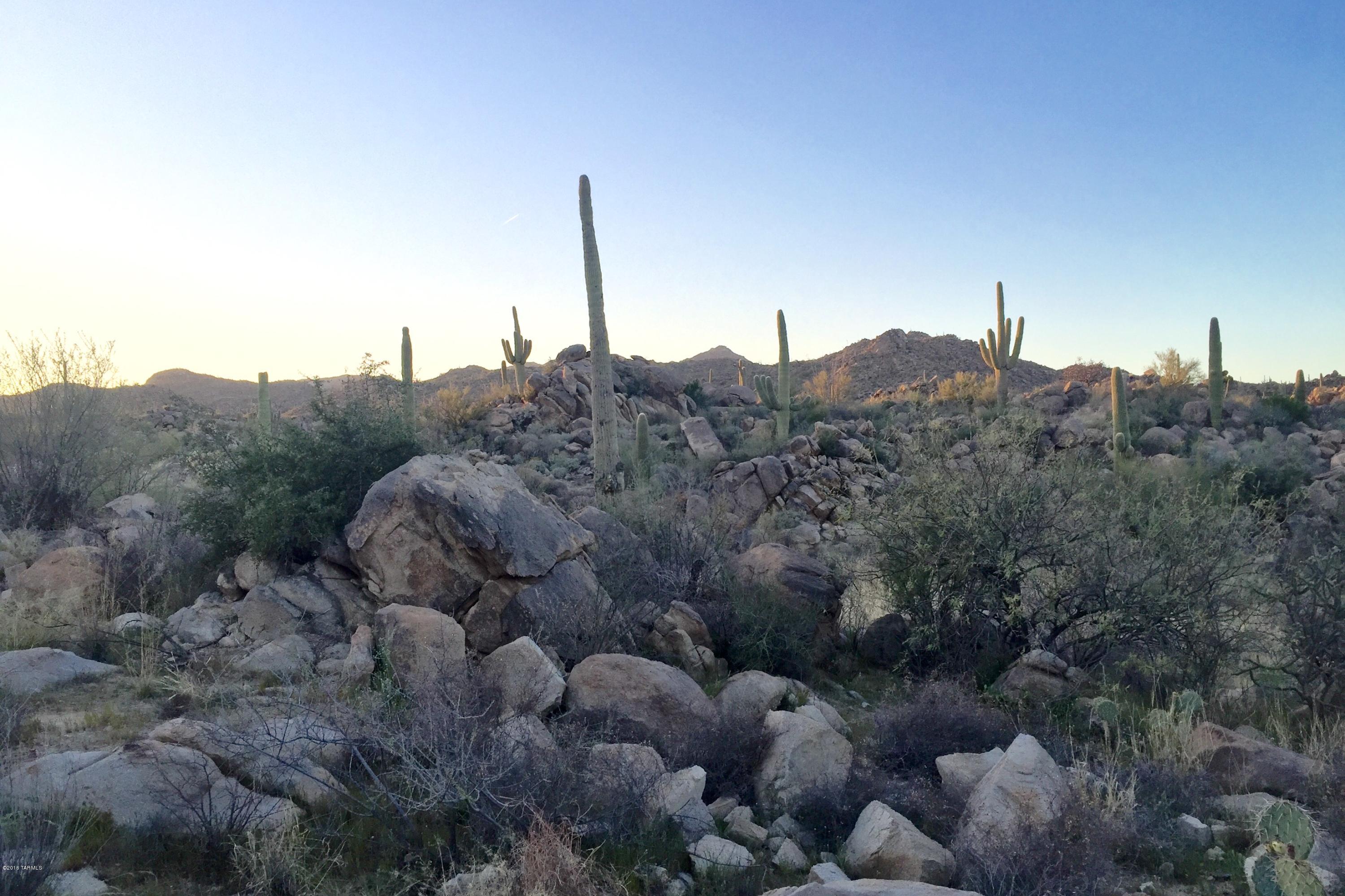 Stone Canyon IV - Land