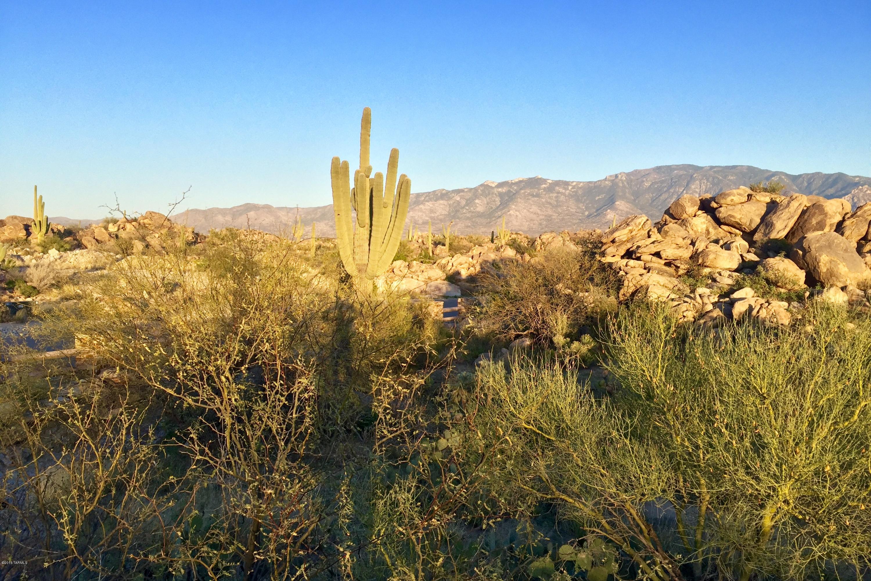 Stone Canyon IV - Land