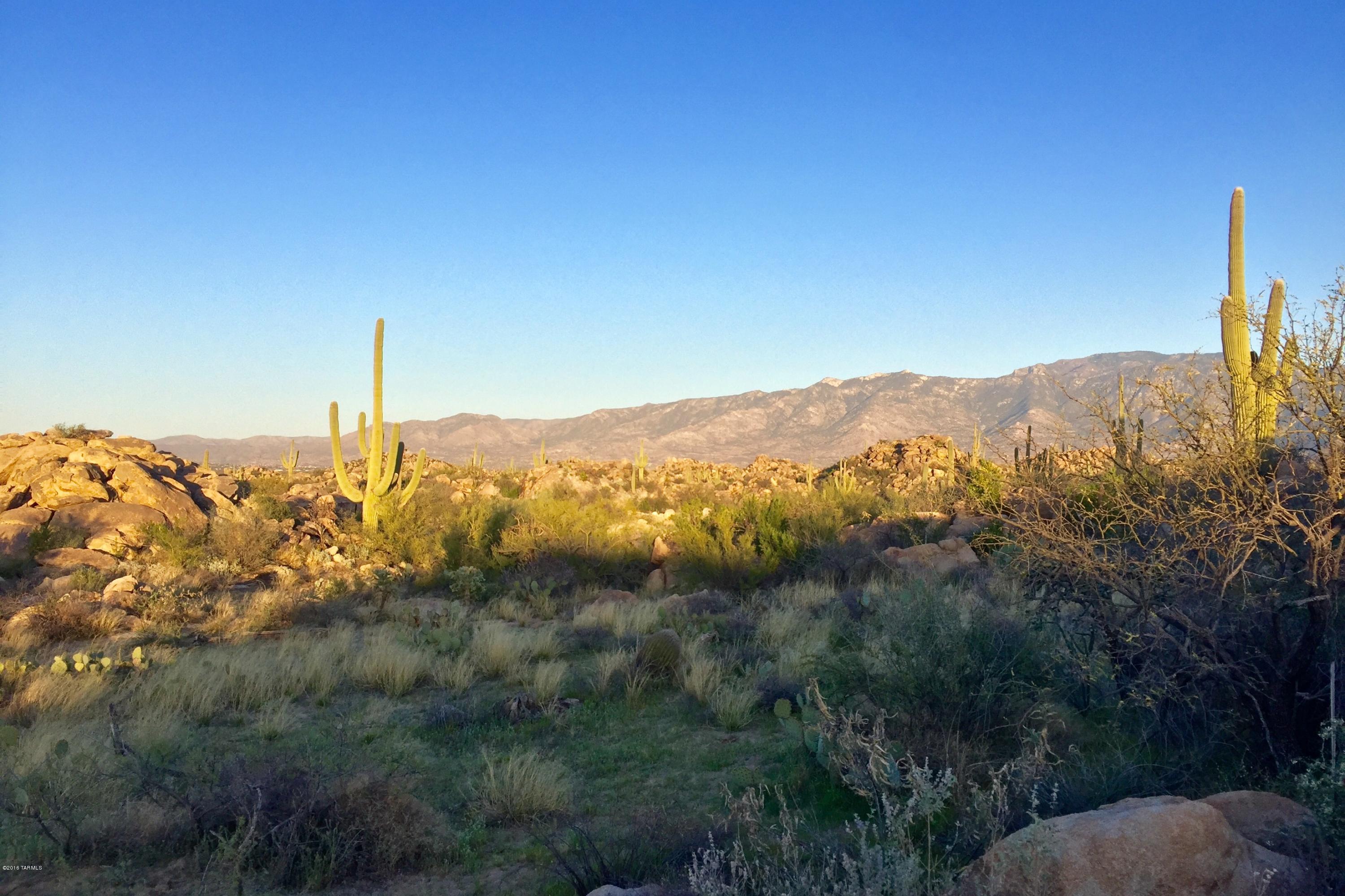 Stone Canyon IV - Land