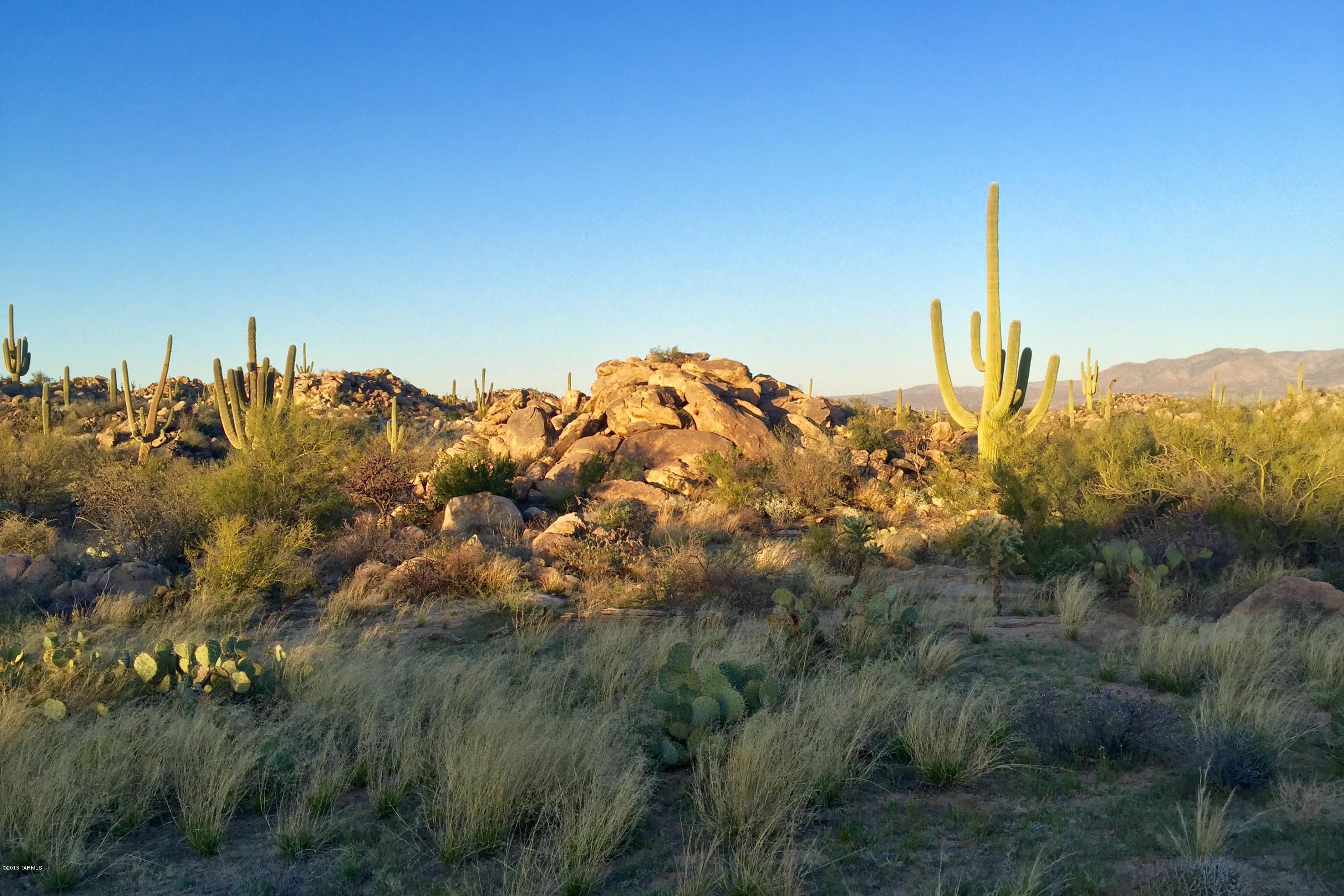 Stone Canyon IV - Land