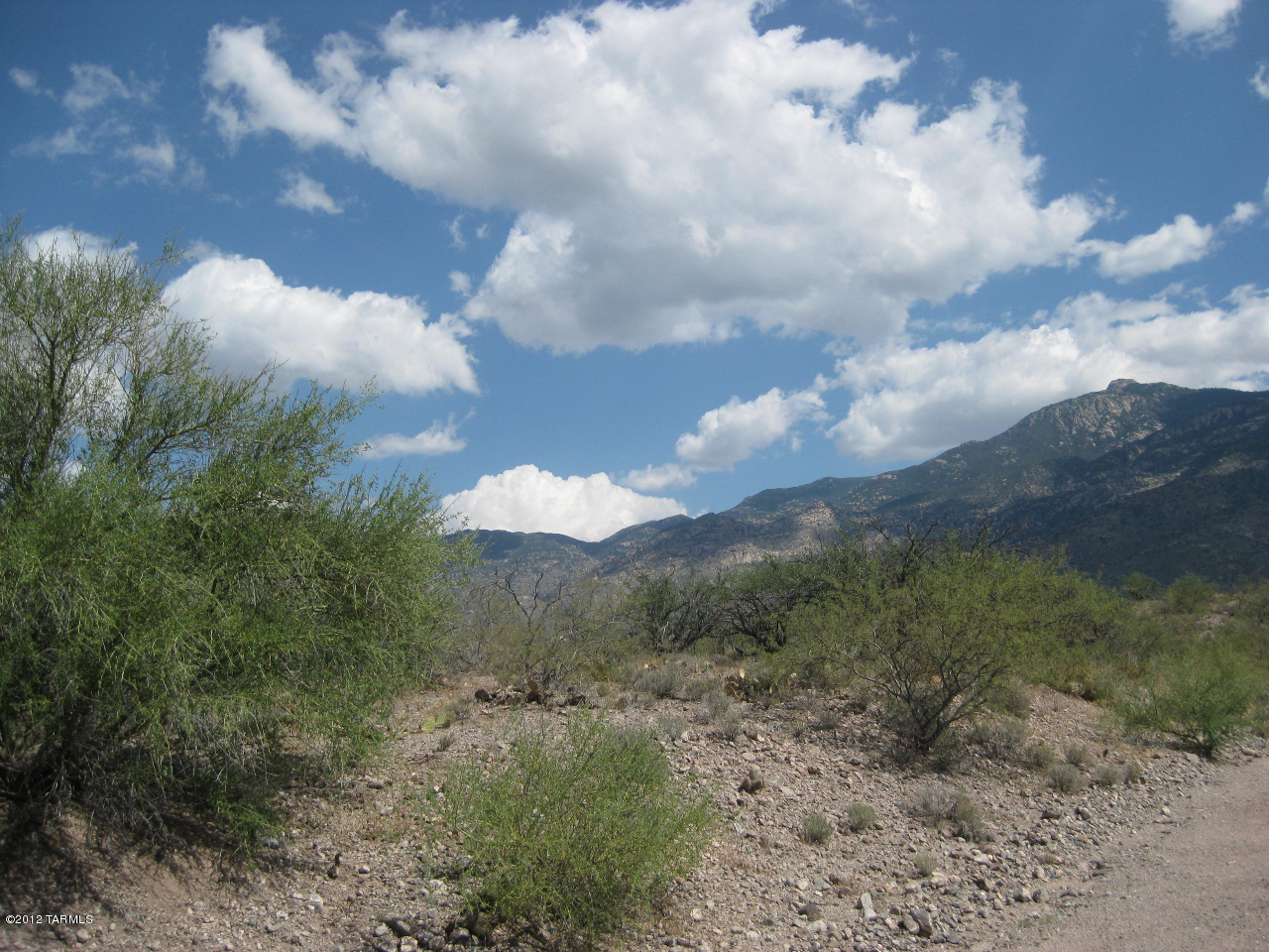 X9 Ranch - Land