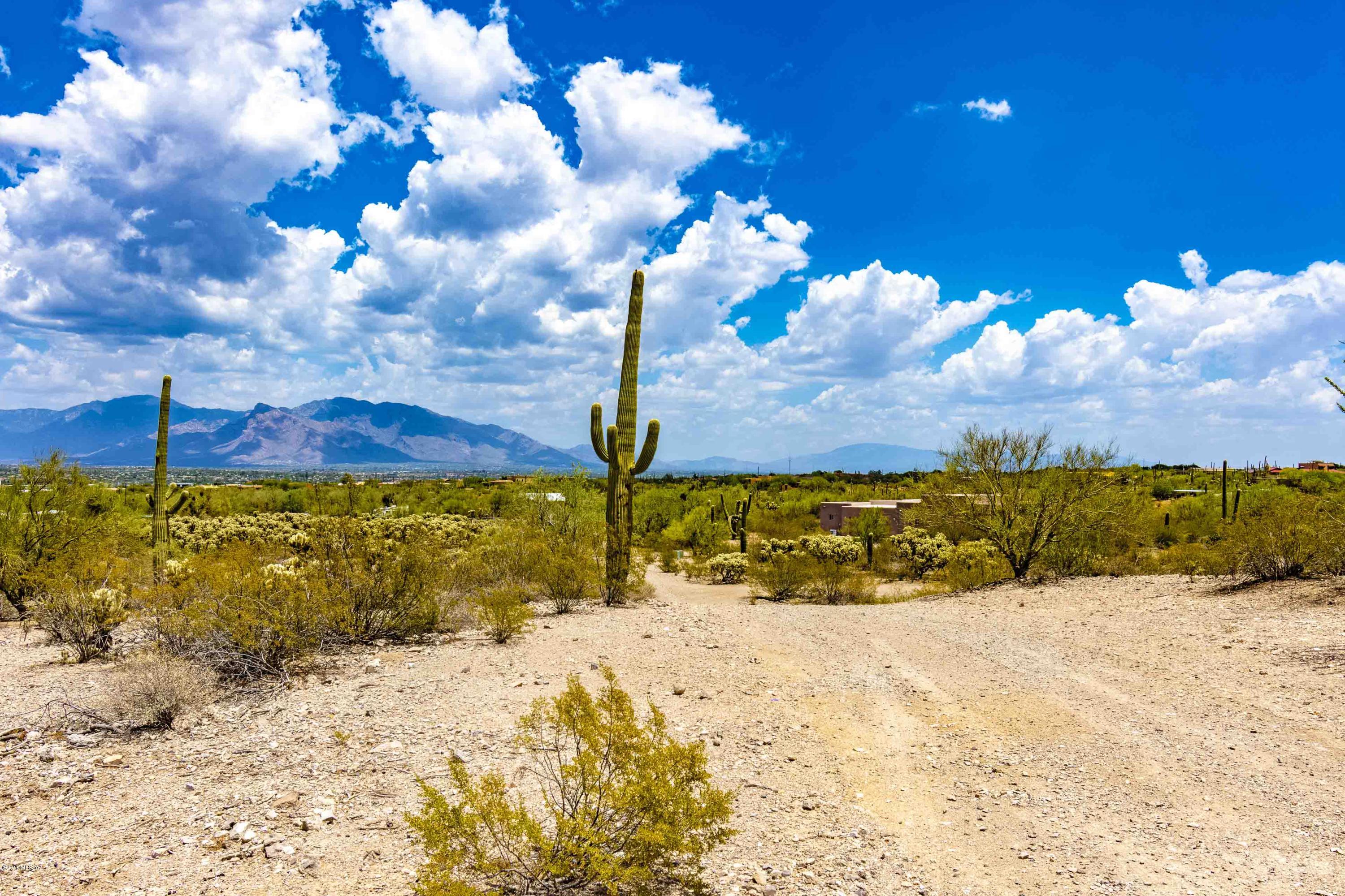Amazing VIEWS on this one of a kind incredible 9.83 acre custom home site in the Tucson Mountain Foothills with gorgeous Catalina and Tucson Mountain Range views!  Easy and ready to build site for your amazing future home. Marana water & TEP  access.  Minutes from Saguaro National Monument.
