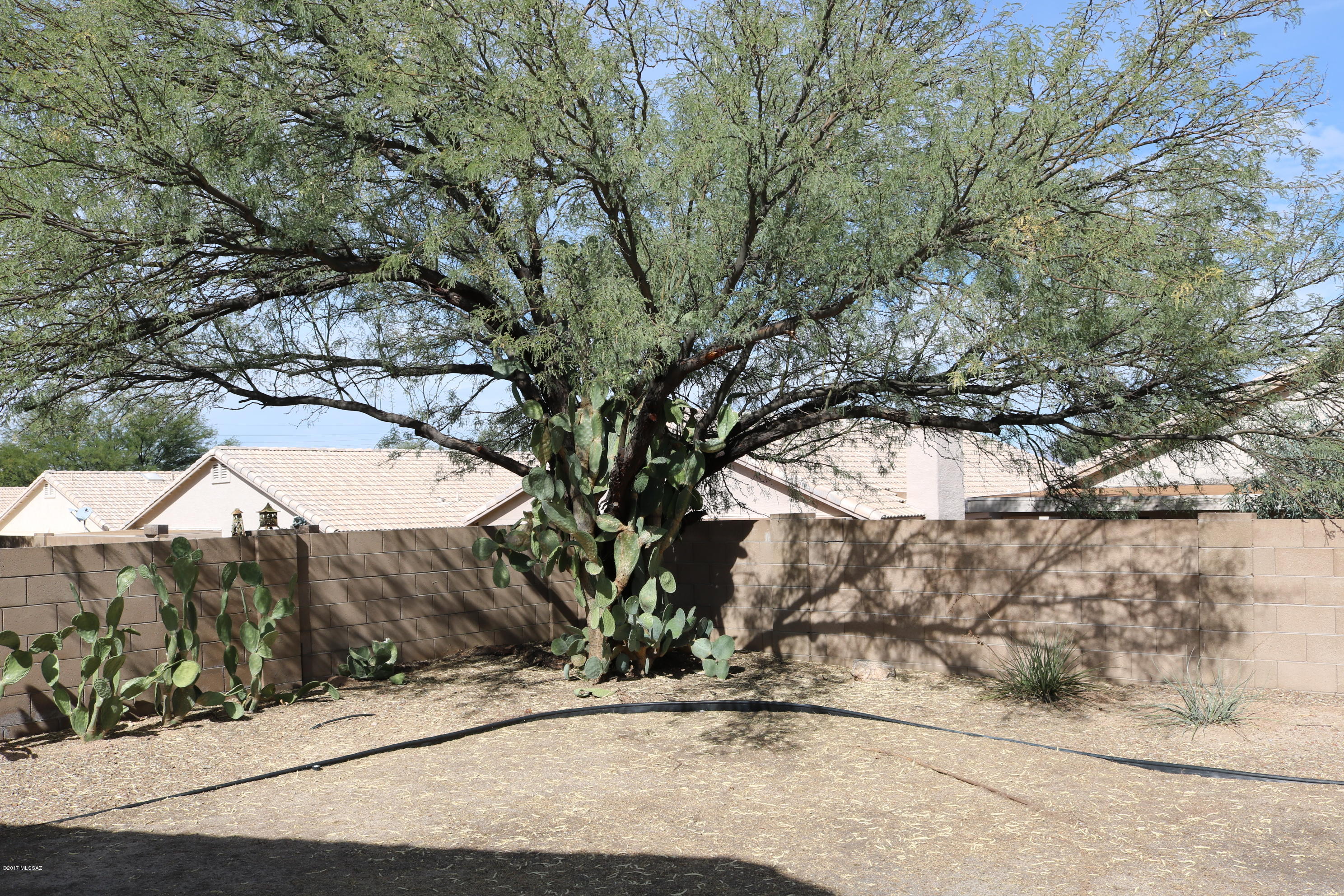 La Cholla Ridge (1-77) - Residential Lease