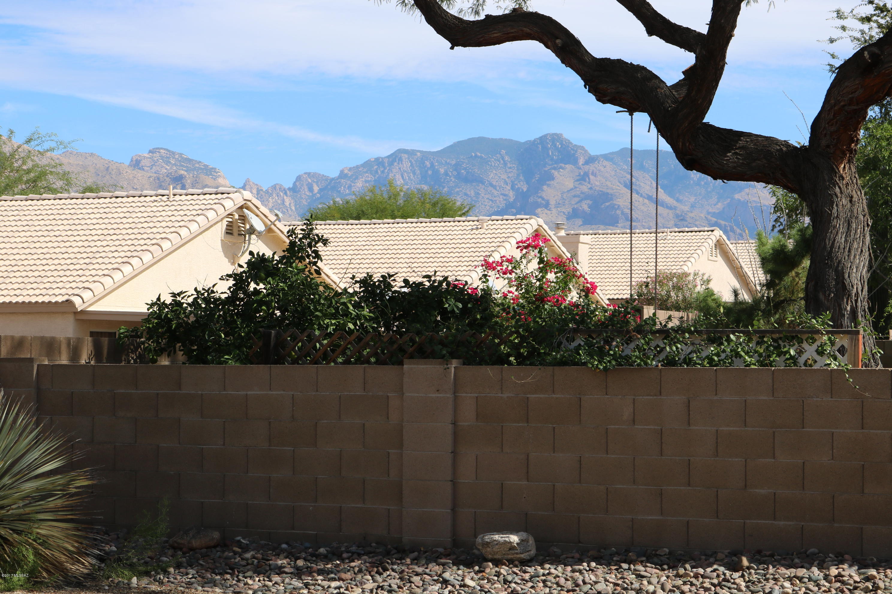 La Cholla Ridge (1-77) - Residential Lease