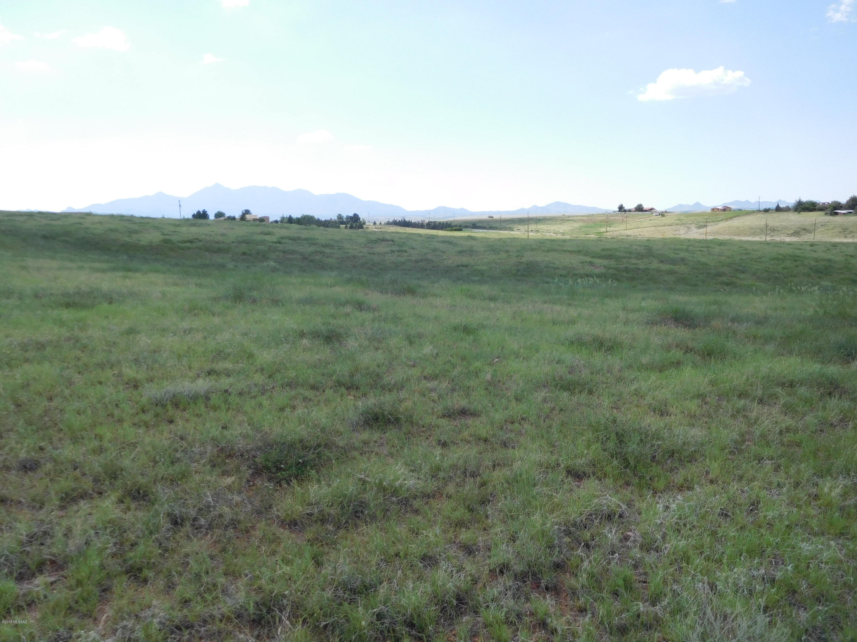 This is an excellent view lot with mountain views abounding. Rolling terrain and multiple building sites. Very minimal traffic and only about 1/4 mile off paved Paint Trail. The acreage is approximate and the lot boundaries can be adjusted to suit the buyer's preference. Purchase price will be pro-rated based on survey and actual acreage purchased. Santa Cruz County will provide new tax ID after close of escrow. See attached aerial and sketch. Taxes are approximate based on larger parcel. Possible well share. Adjacent metal building is also available. Price to be determined based on actual acreage purchased.