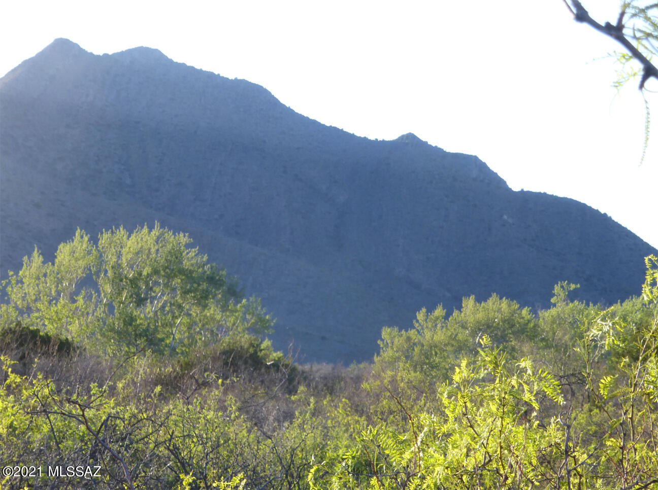 Two PRIMO adjoining 10-ac parcels within 1/2 mi of downtown Portal on county rd.  First time on the market since the 1970s, land this close to Portal is rarely available any more. Own both for $140,000! Views of Cave Creek canyon, Silver Peak. Electricity and phone on southern lot line, riparian vegetation along Cave Creek at the north end. Native vegetation, sycamores, juniper, mesquite. Local wells are good. Excellent building sites. Apply to Cochise County for a driveway connecting to Portal Road. Drill well, install septic. Partially fenced. No deed restrictions. Portal is an hour from major shopping in Douglas, 25 mi to gas and hardware in San Simon or Animas NM. Local cafes, lodging,; Portal has library, medical clinic. Lowe's120 mi. in Sierra Vista.