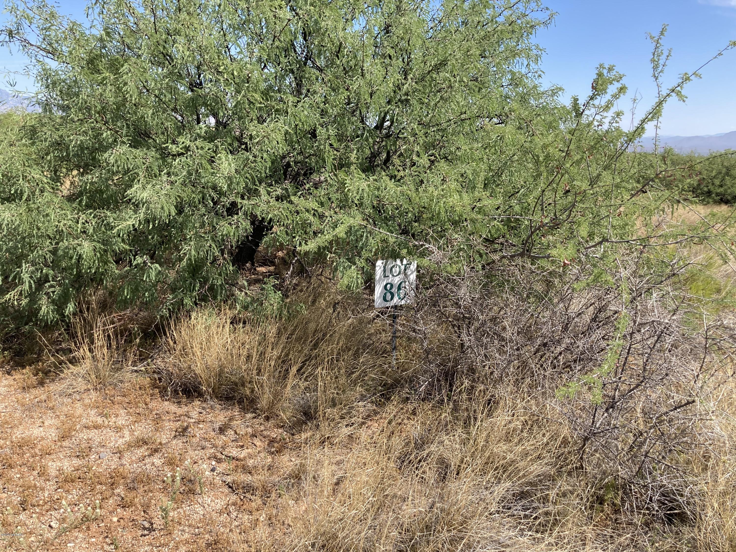 Other/Unknown - Land