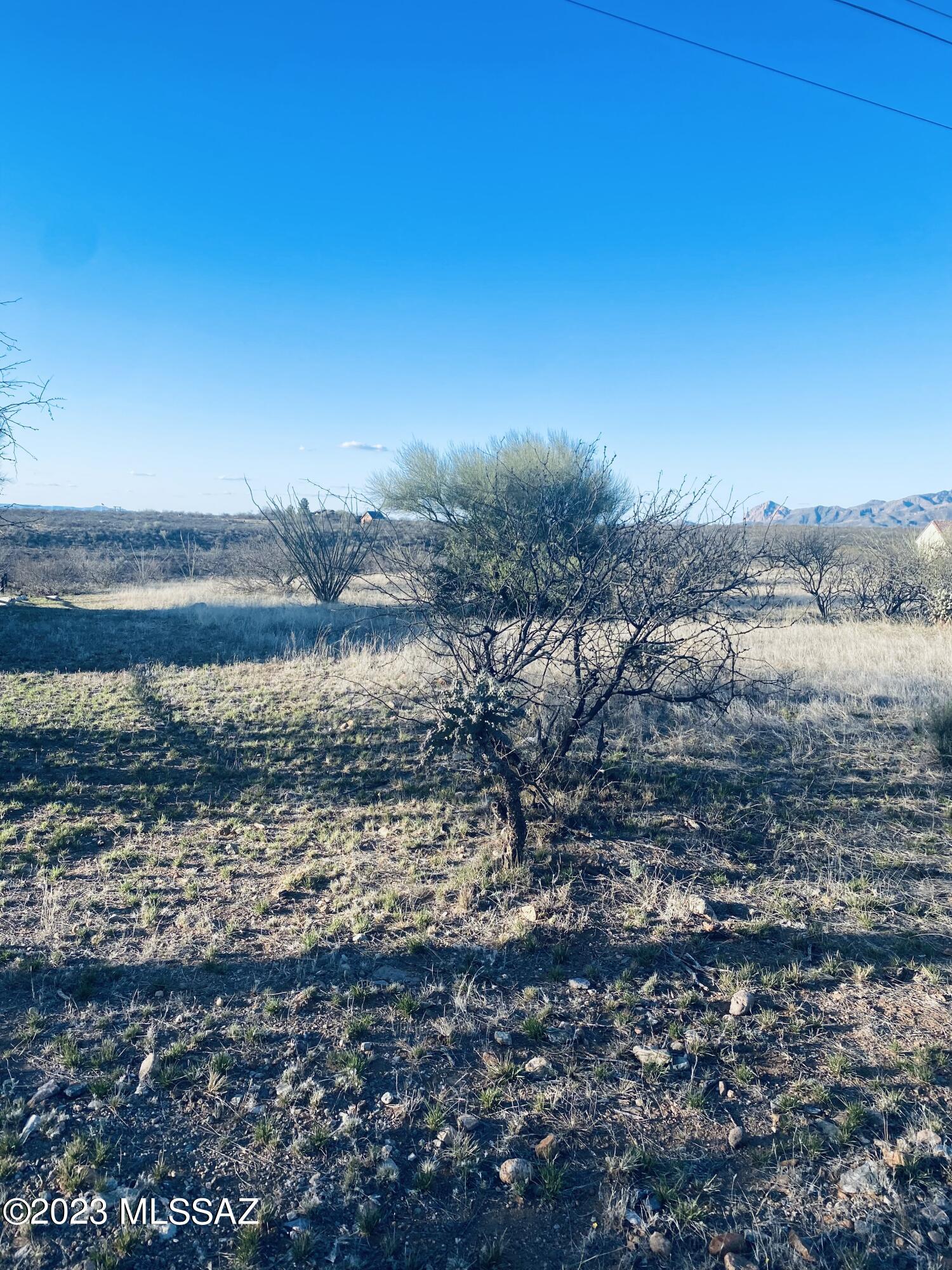 Amazing opportunity to own this tranquil piece of property. This land lot is 0.59 acres. Go view and make this property yours! Buyer to verify all utility information.