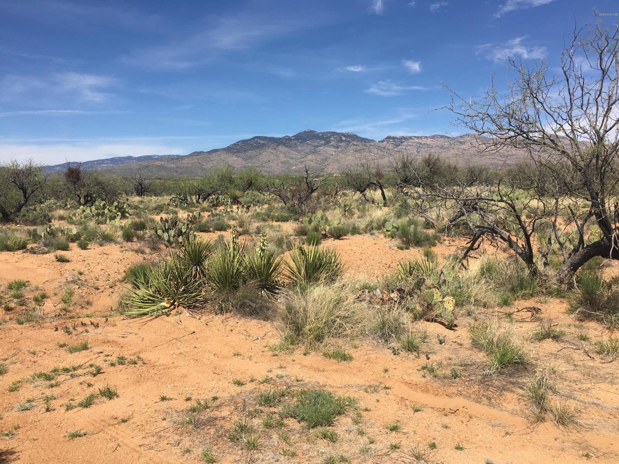 Mostly high level land in the Rincon Mtn Foothills with sweeping mountain views all around. Borders State land to the north and the railroad r/w to the south.  Great building sites with electric, phone, private well and septic tanks already in place on the property.  Close to Davidson Canyon and Cienega Preserve with many miles of trails nearby. There are also recorded easements for closer and easier access to the west end of the property, but they have not yet been bladed. SELLER WILL CONSIDER OFFERS FOR  PORTIONS OF THE PROPERTY!