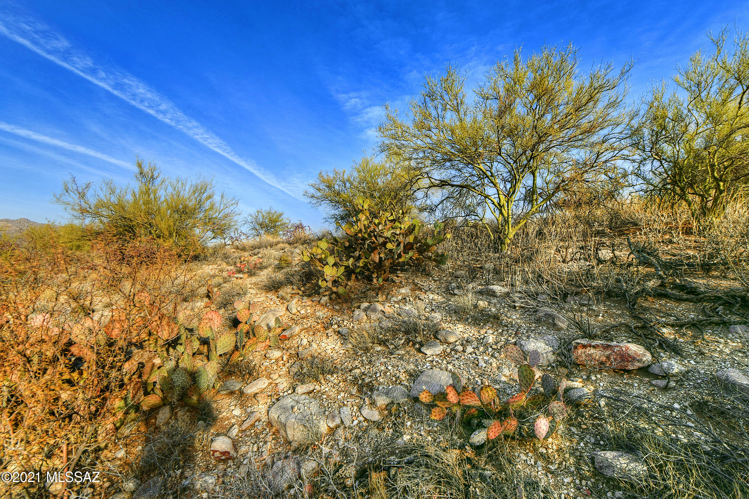Summit Ridge Estates (1-22) - Land