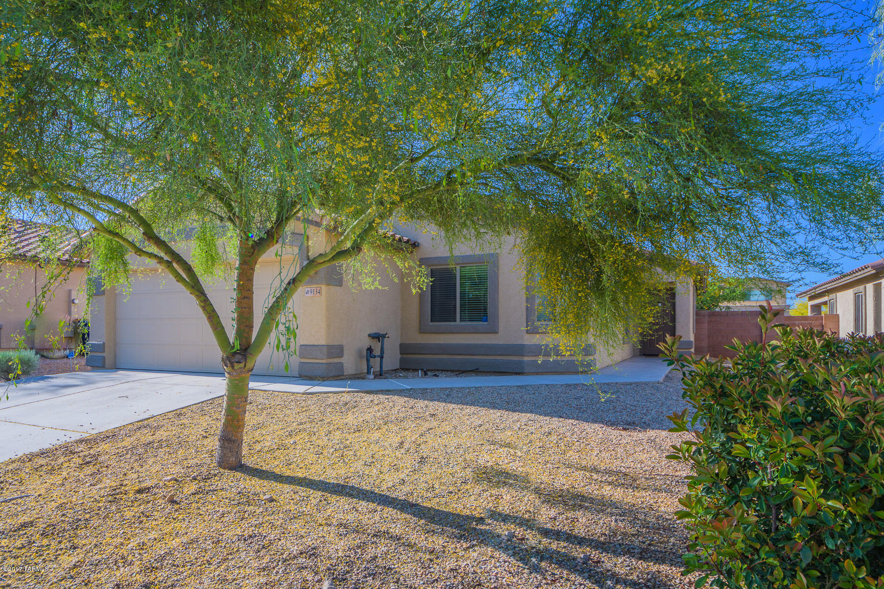 This is the one you have been waiting for!  Sycamore Park!  Vail School district!  Pebble Tech Pool!  Better then new 1538 SF home with 4 bedrooms and 2 baths!  Open kitchen with the perfect amount of cabinets, granite counter tops, and stainless steel appliances!  Split floor plan for privacy!  Diagonally laid tile everywhere but the bedrooms.  Spacious great room!  Awesome back yard with turf and pebble tech pool!  No neighbors to the rear!  Will not last long, schedule your showing today!!!!!!!!