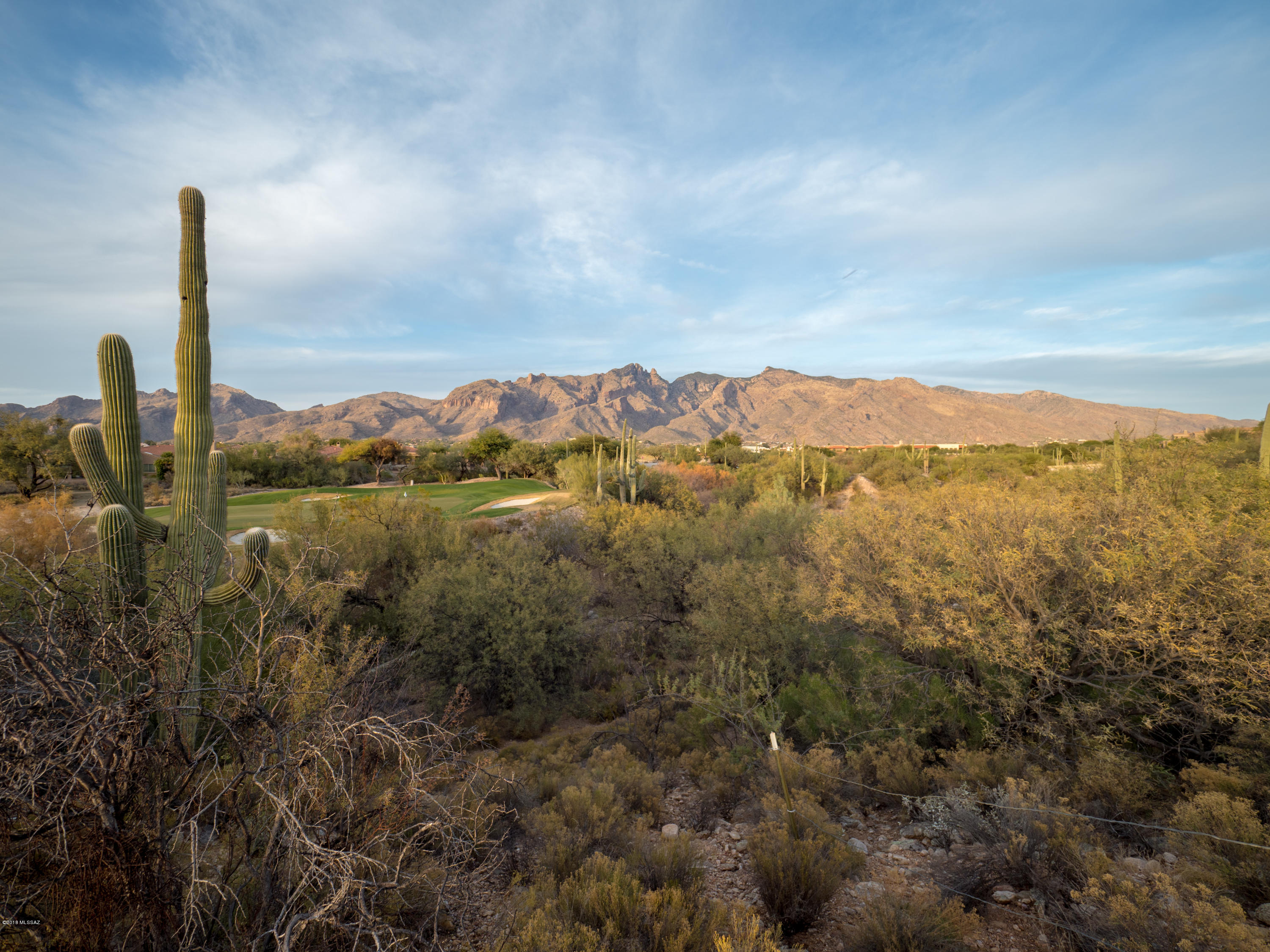 La Paloma Estates (1-35) - Land