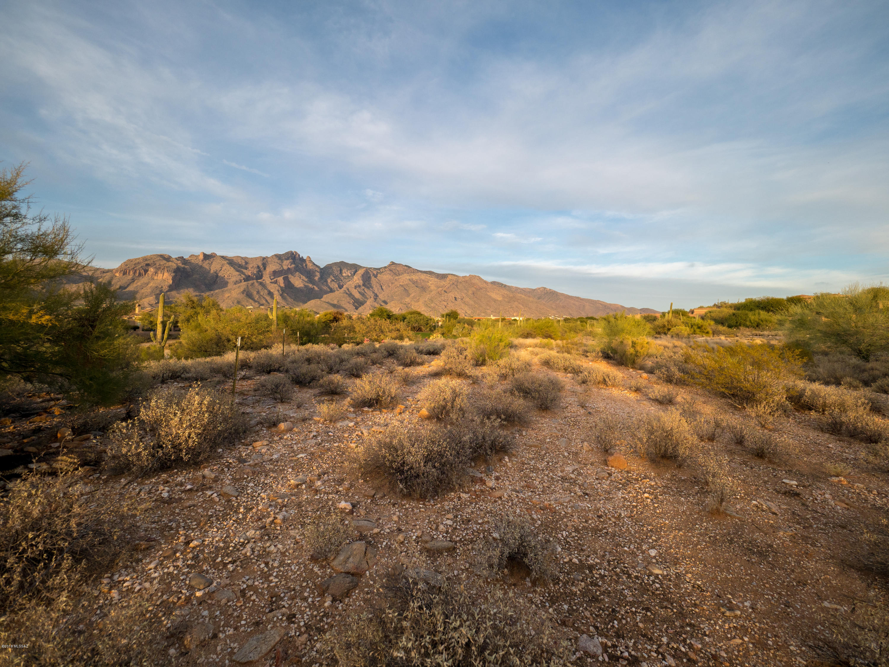 La Paloma Estates (1-35) - Land
