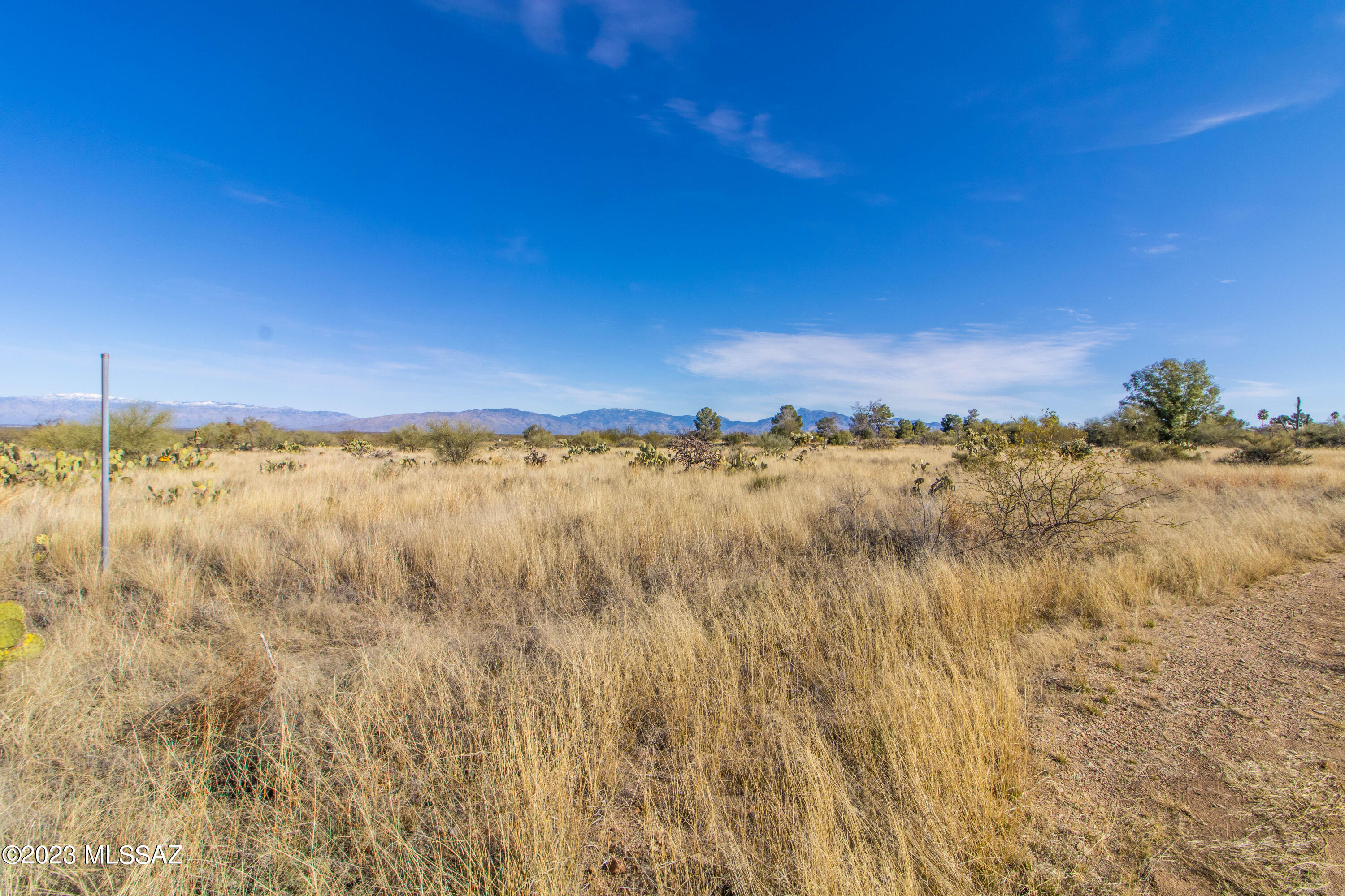 New Tucson Unit NO. 4 (1-203) - Land