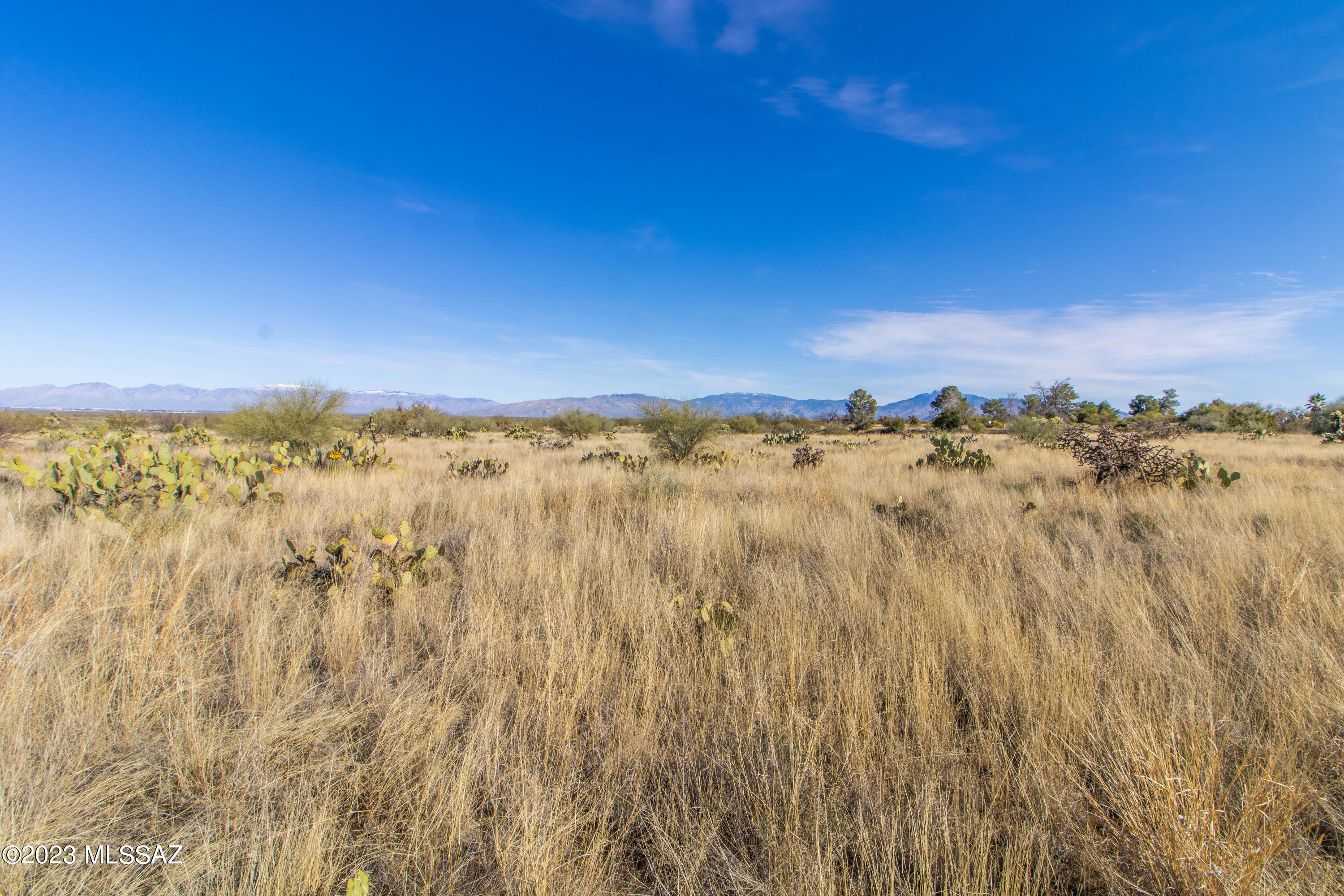 New Tucson Unit NO. 4 (1-203) - Land