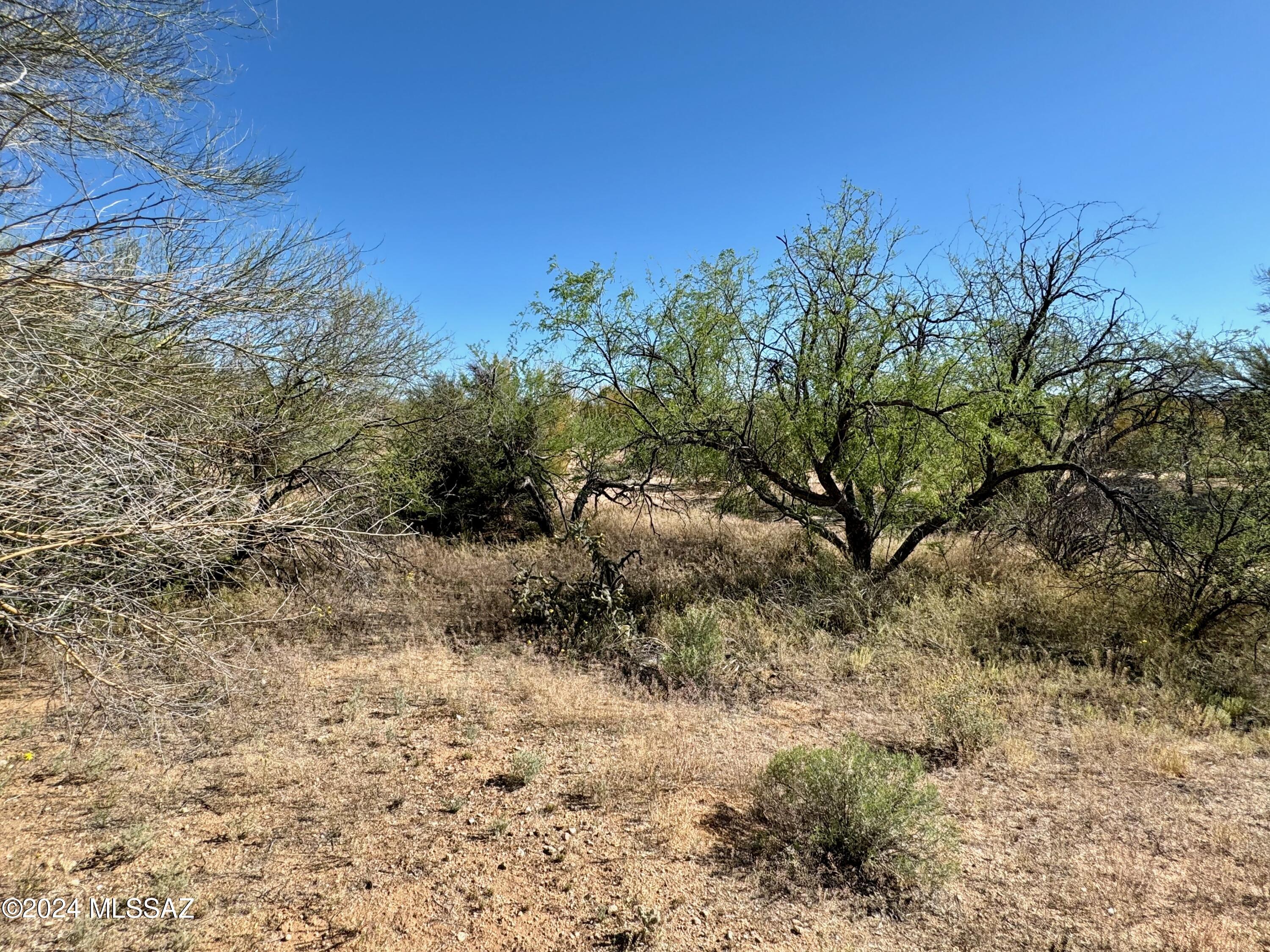 Diamond Bell Ranch Chaparral Unit (1-24, 26-228) - Land