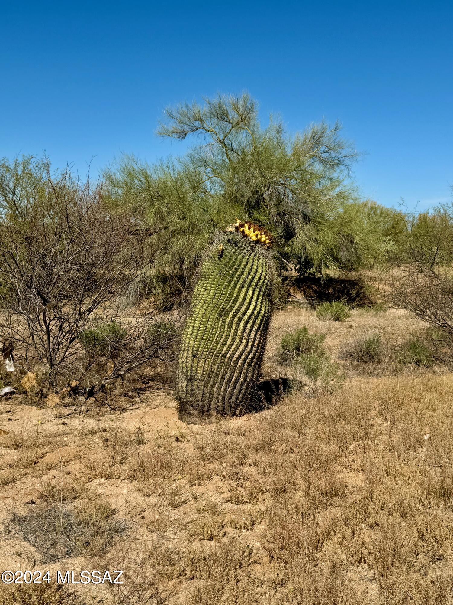 Diamond Bell Ranch Chaparral Unit (1-24, 26-228) - Land