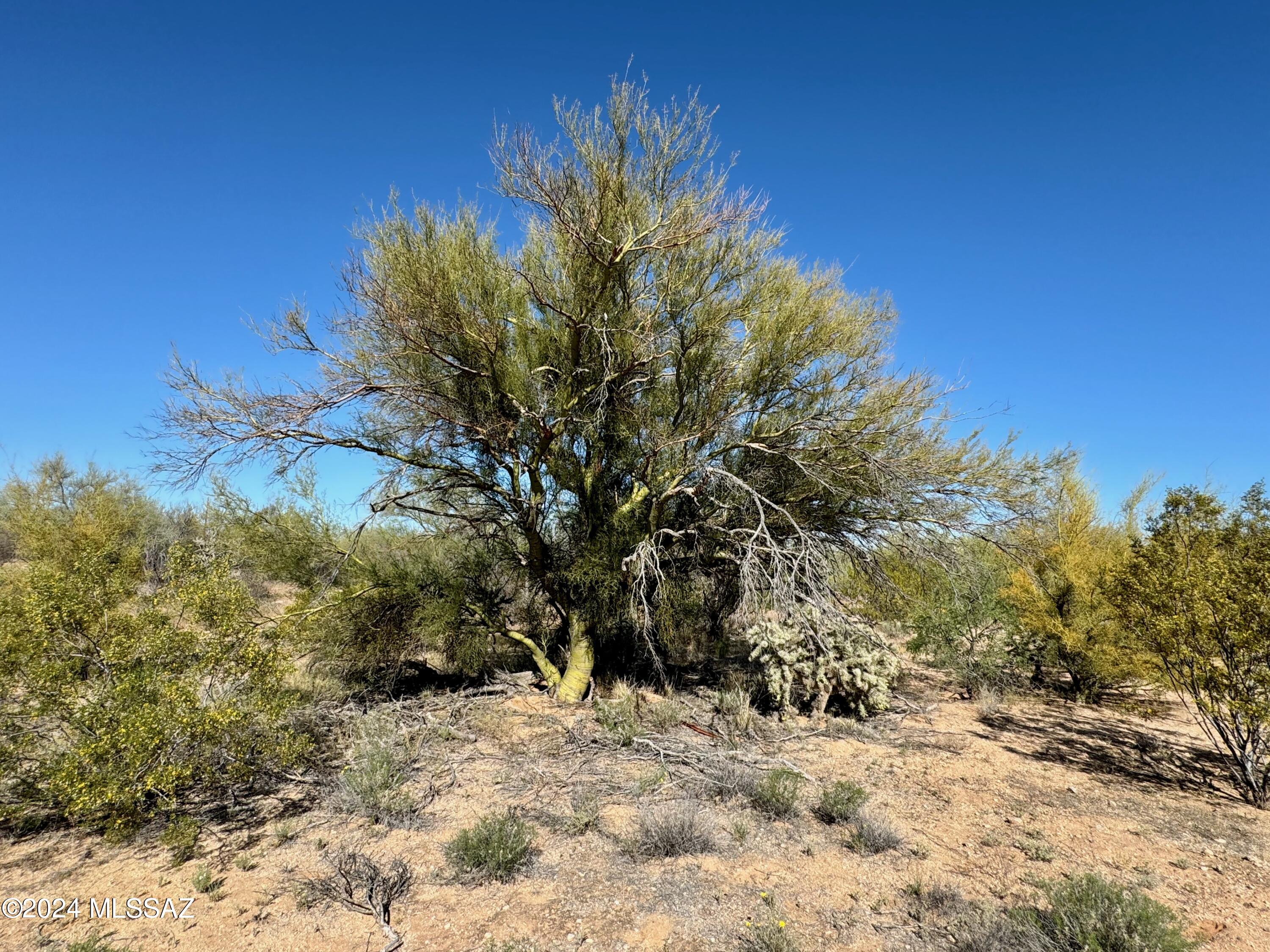 Diamond Bell Ranch Chaparral Unit (1-24, 26-228) - Land