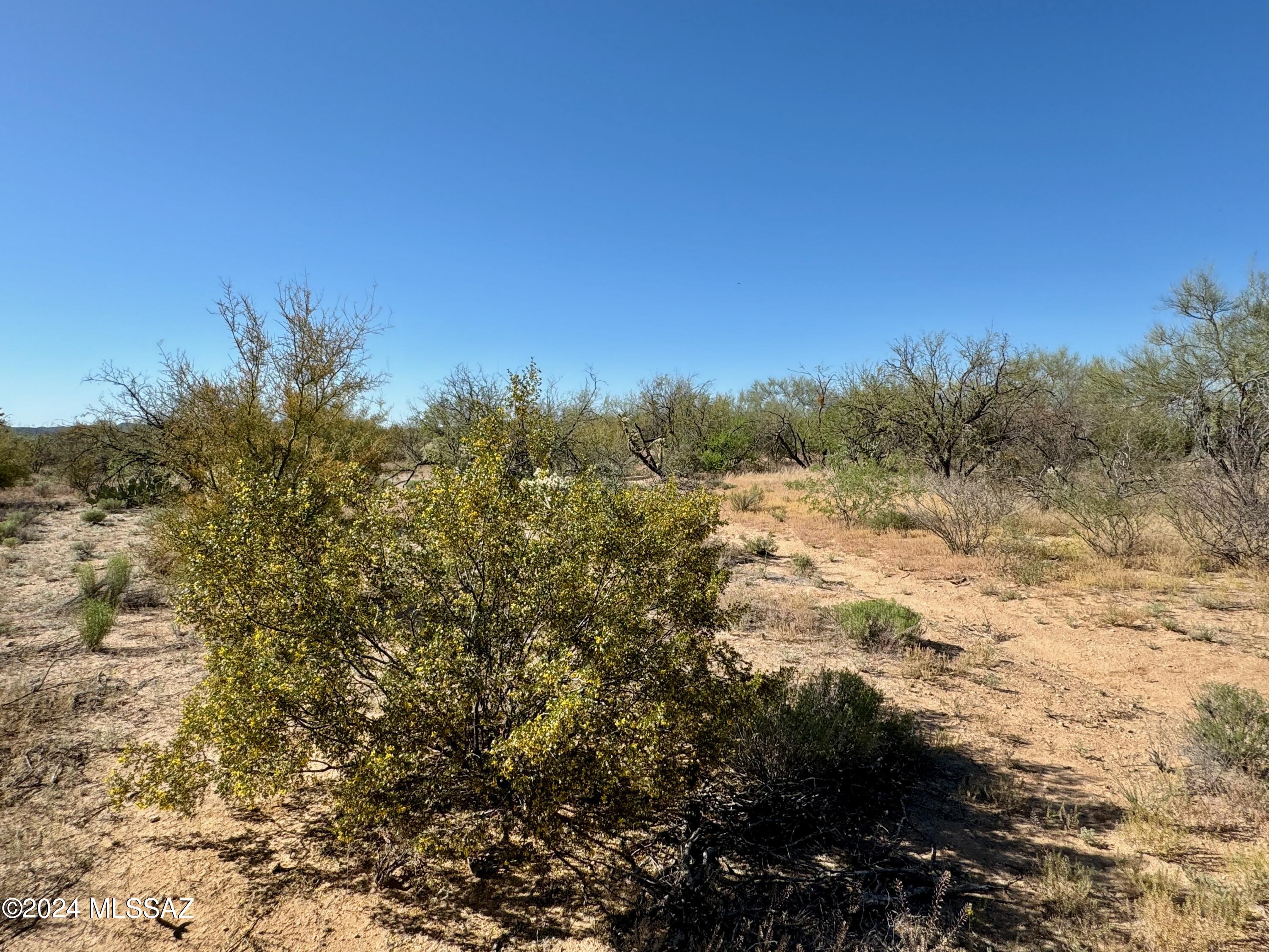 Diamond Bell Ranch Chaparral Unit (1-24, 26-228) - Land